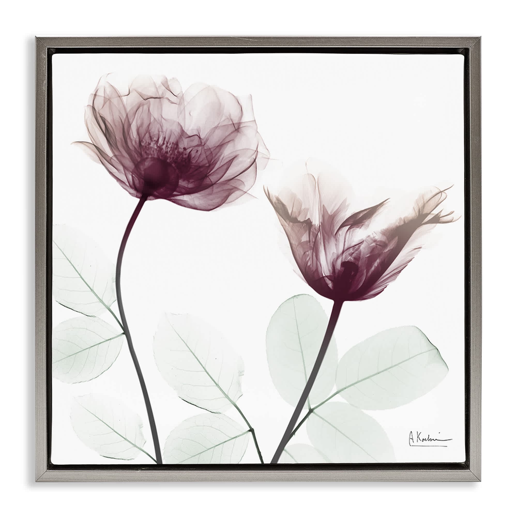 Stupell Industries BS-008-FFL-17X17 Minimalist Translucent Flowers Floating Frame design by Albert Koetsier