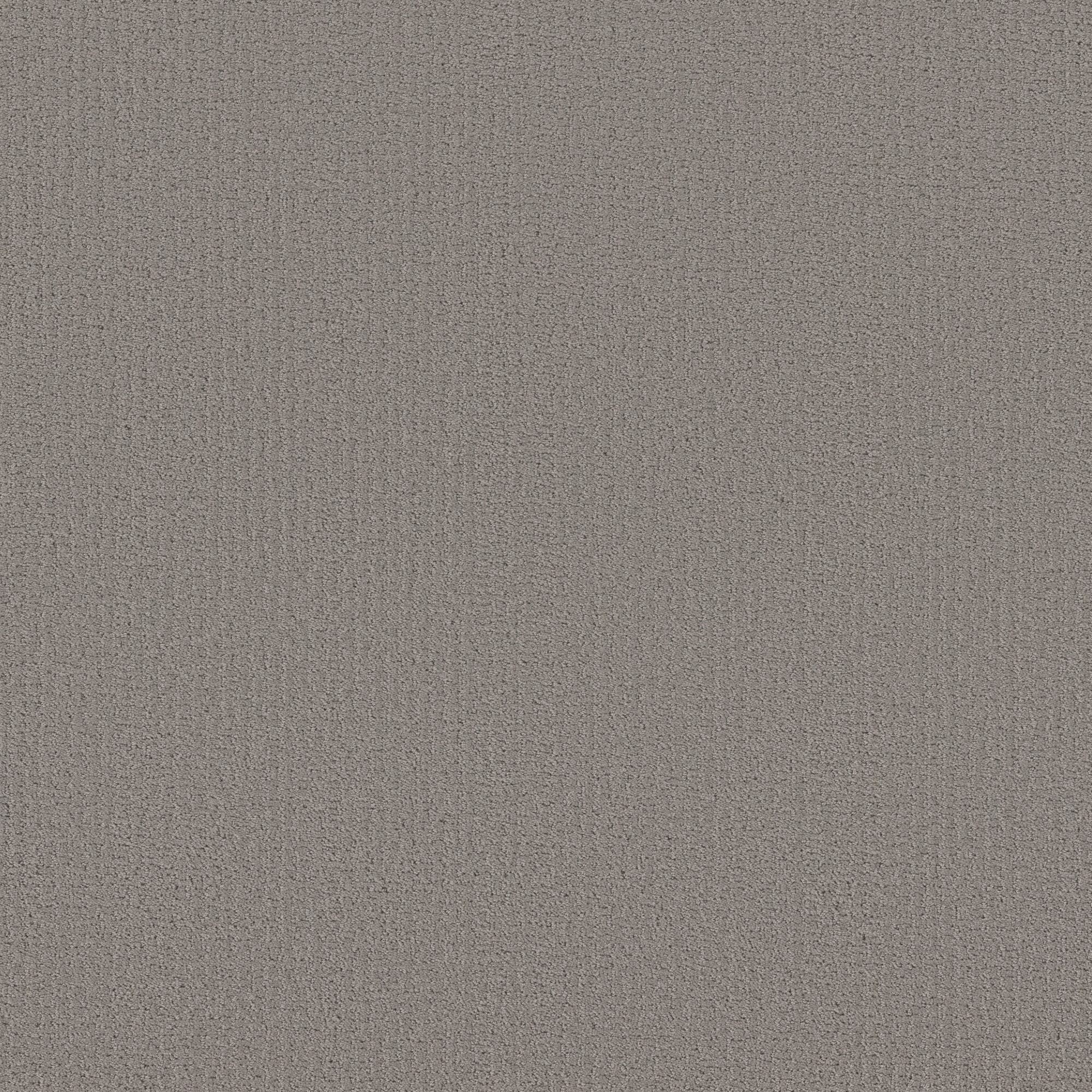 STAINMASTER PetProtect 7L85400502 Summer Nights Dolphin Gray 39-oz sq yard Nylon Pattern Indoor Carpet