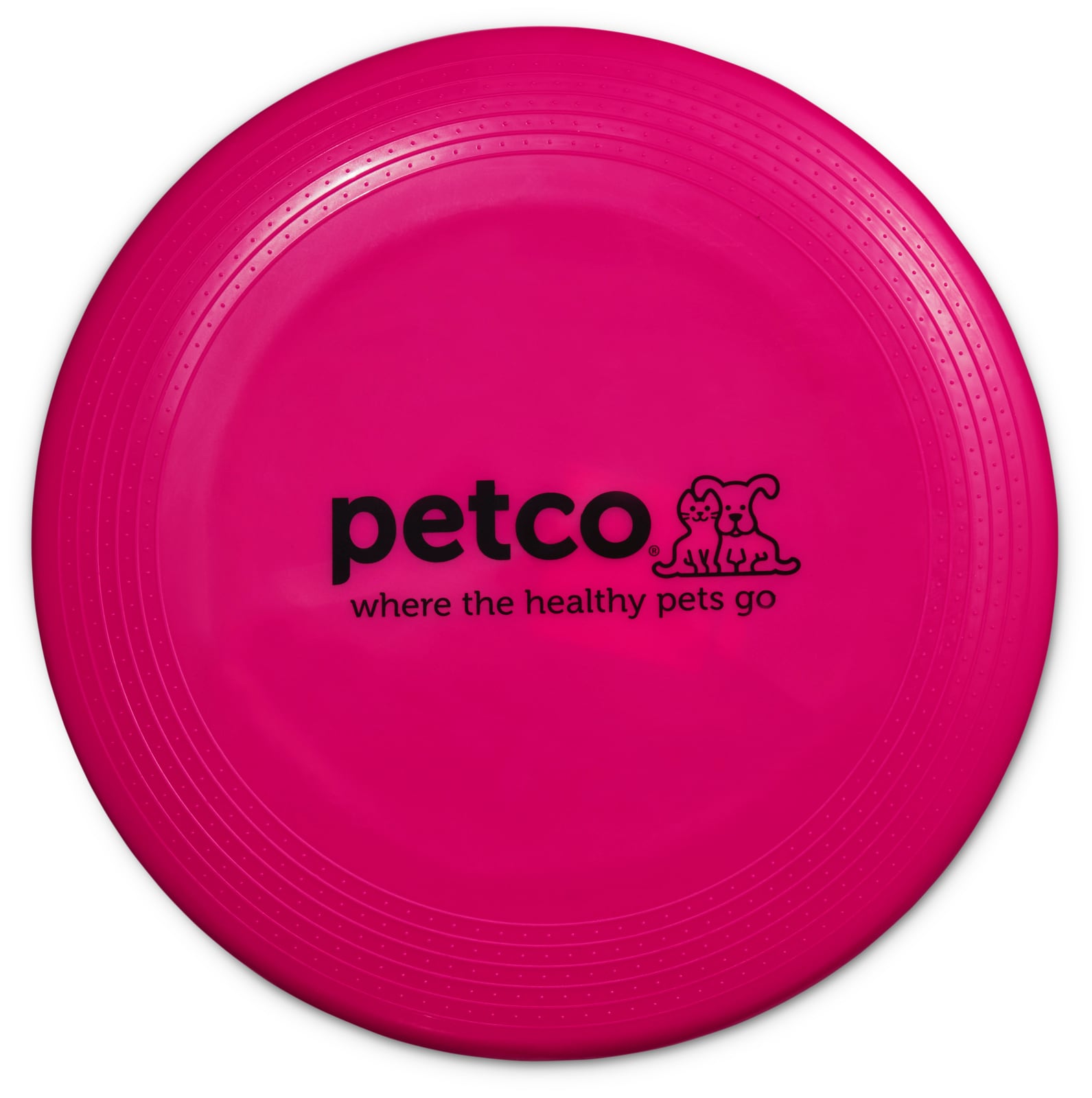 Petco dog frisbee best sale