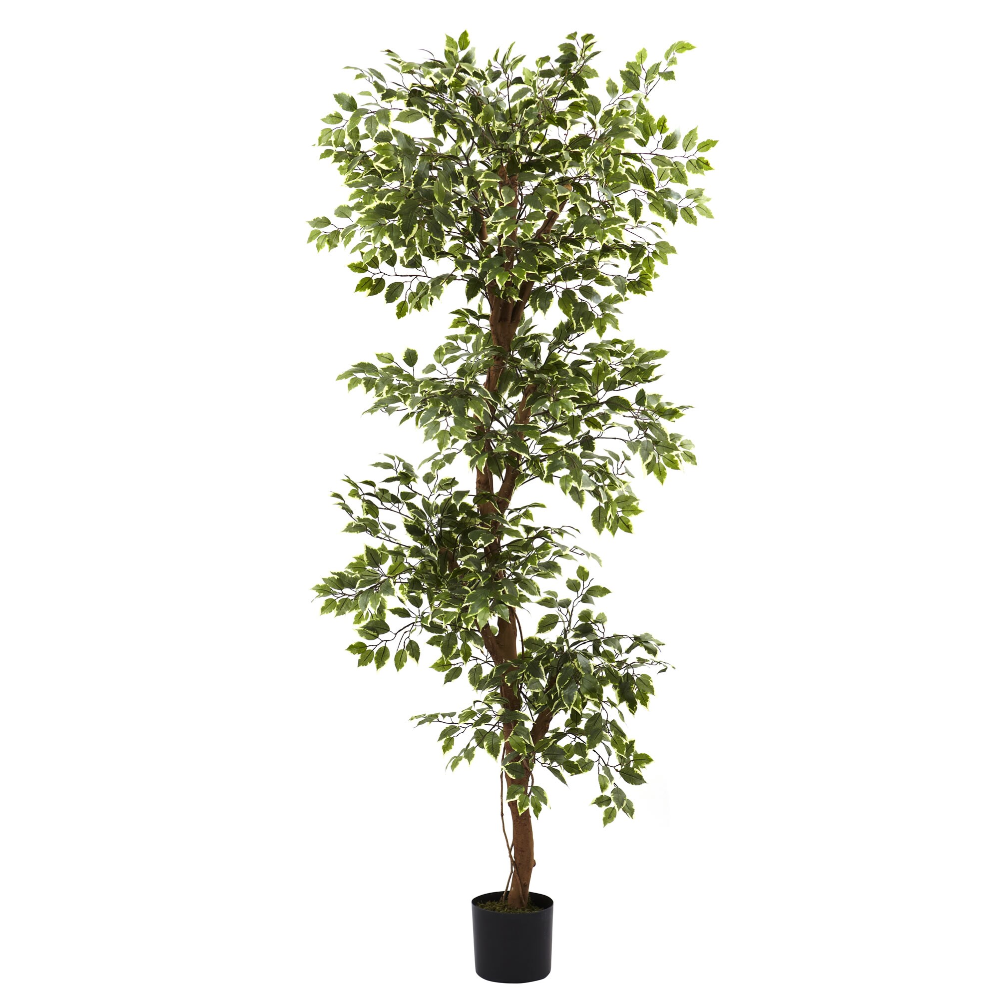 Nearly Natural 72 In Green Indoor Artificial Silk Trees At Lowes Com   05114322 