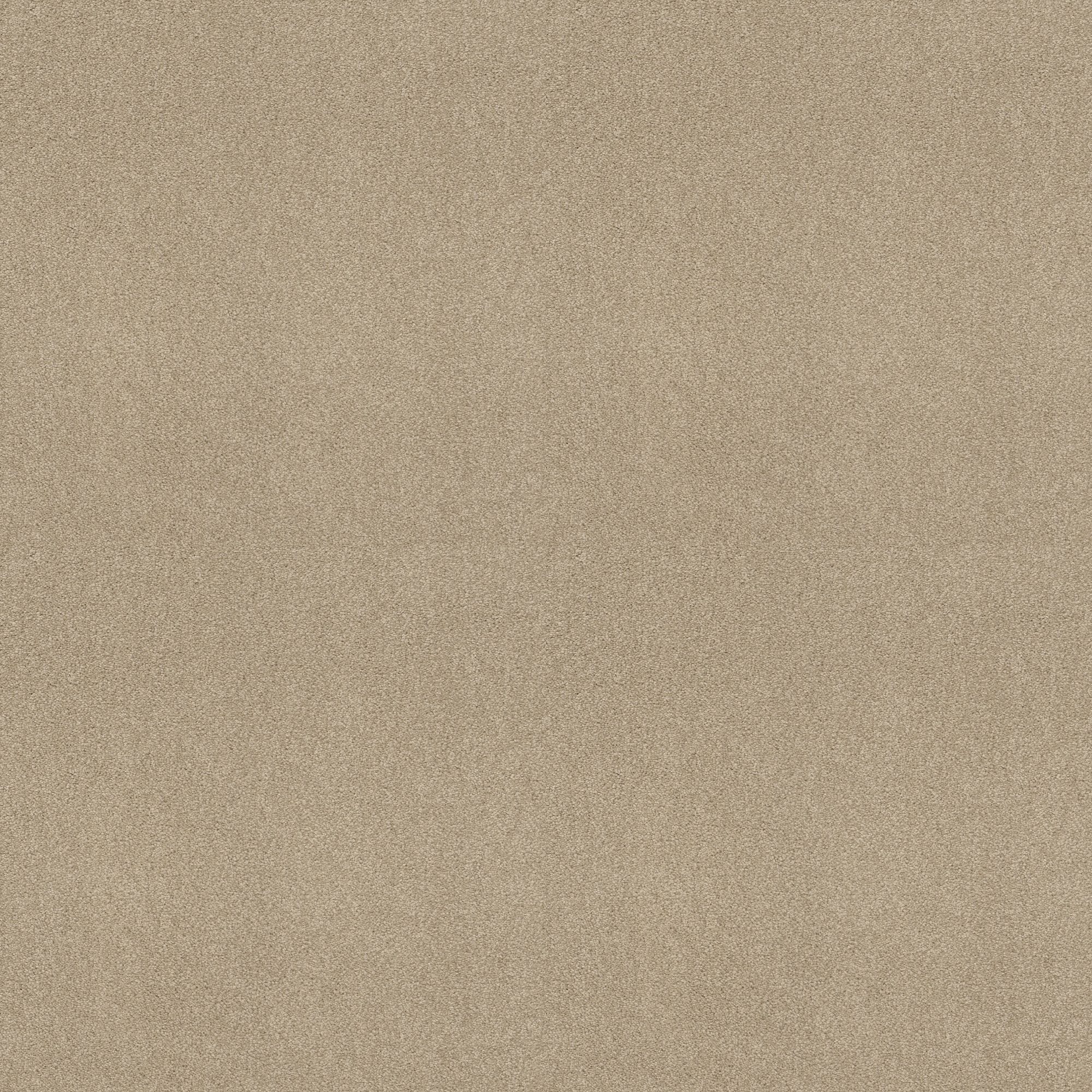 STAINMASTER PetProtect 7L88200104 Best Of Breed II Warm Winter Brown 58.5-oz sq yard Nylon Textured Indoor Carpet
