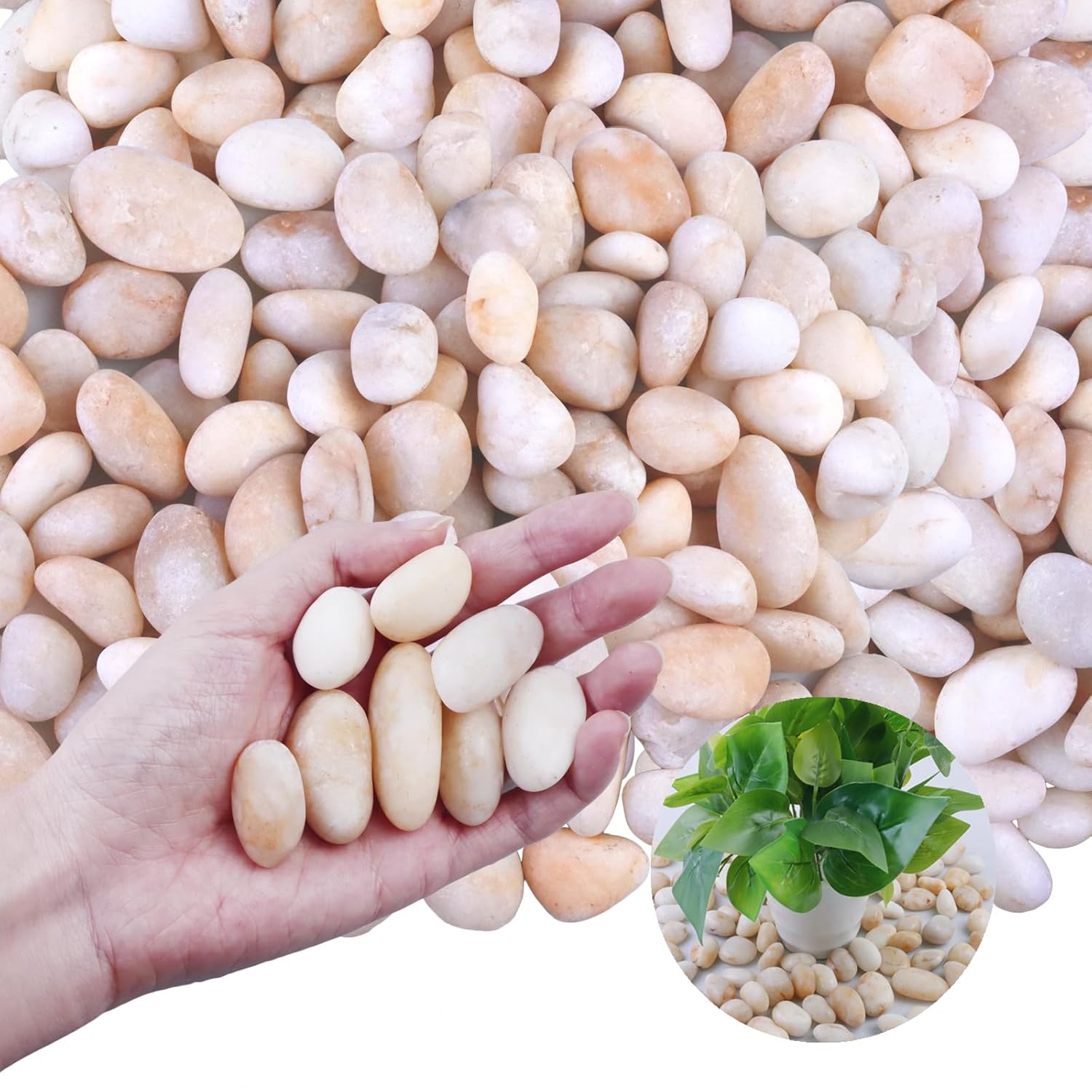 CJGQ 20 lb Cream White River Rock Decorative Landscaping Pebbles 0.3 to 0.8 Inch Smooth Polished Stones for Gardens Planters Aquariums and Vases