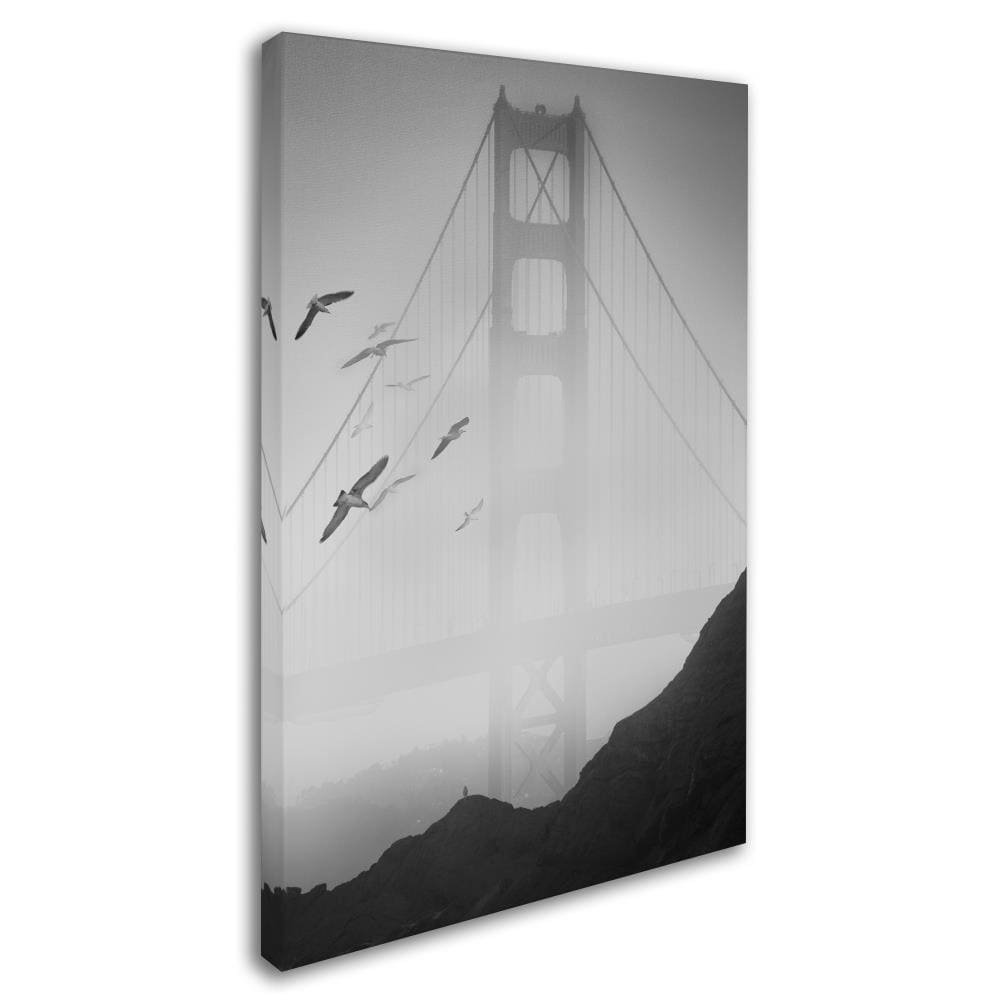 Trademark Fine Art ALI1112-C2232GG Wall-Art - View #2