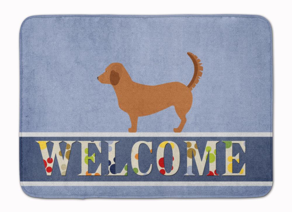 Caroline's Treasures BB8270RUG 27-in x 19-in Multiple Colors/Finishes Microfiber Memory Foam Bath Mat