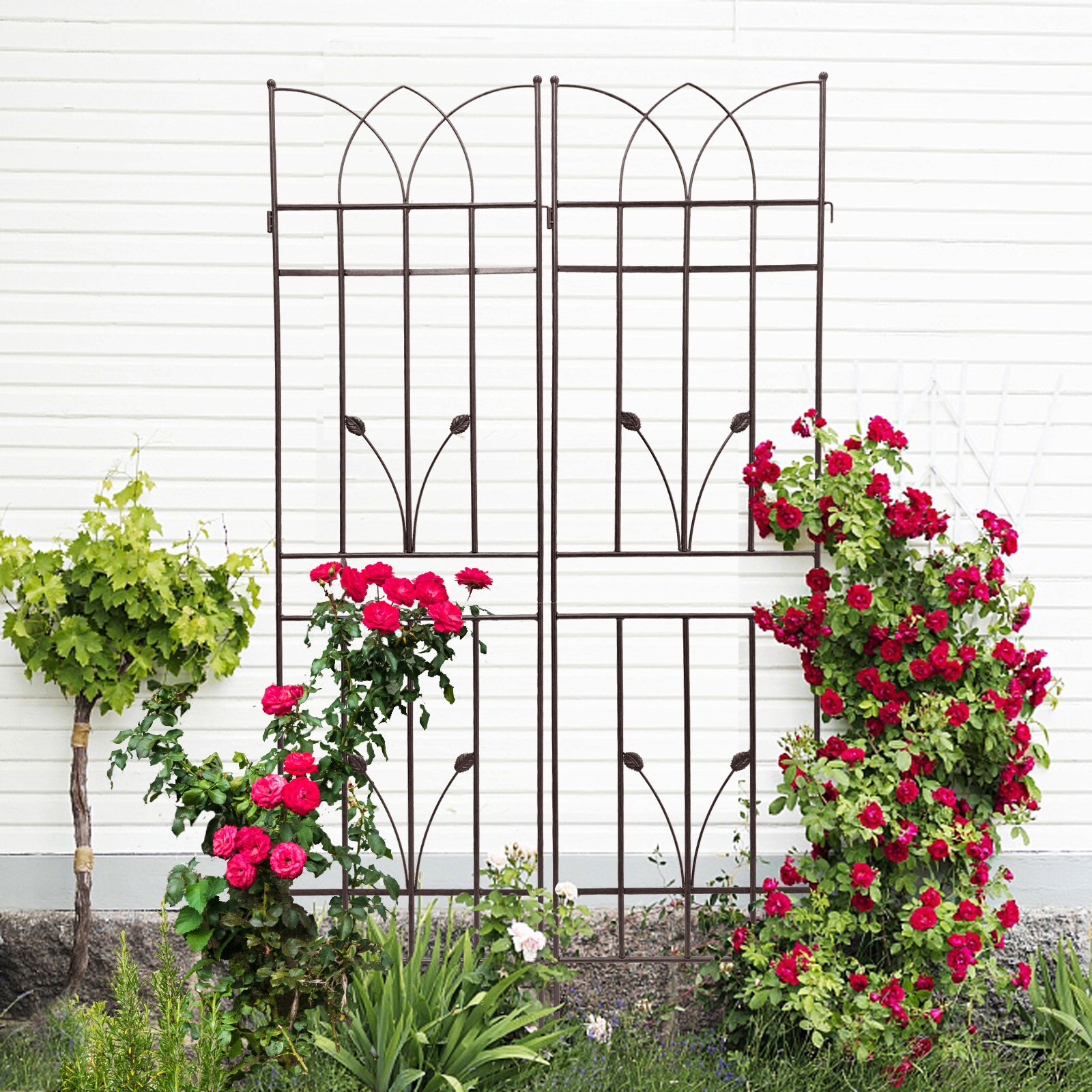 Damerin ZLY-04F Garden-Trellis - View #8