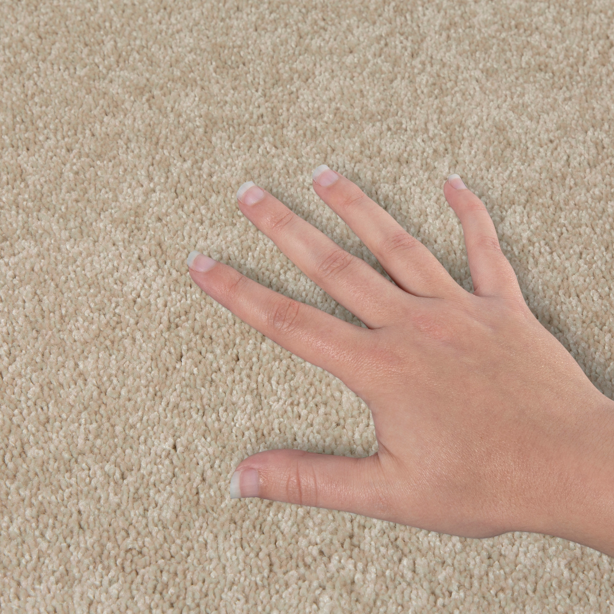 STAINMASTER PetProtect SS022-L011-0808 Carpet-Samples - View #4