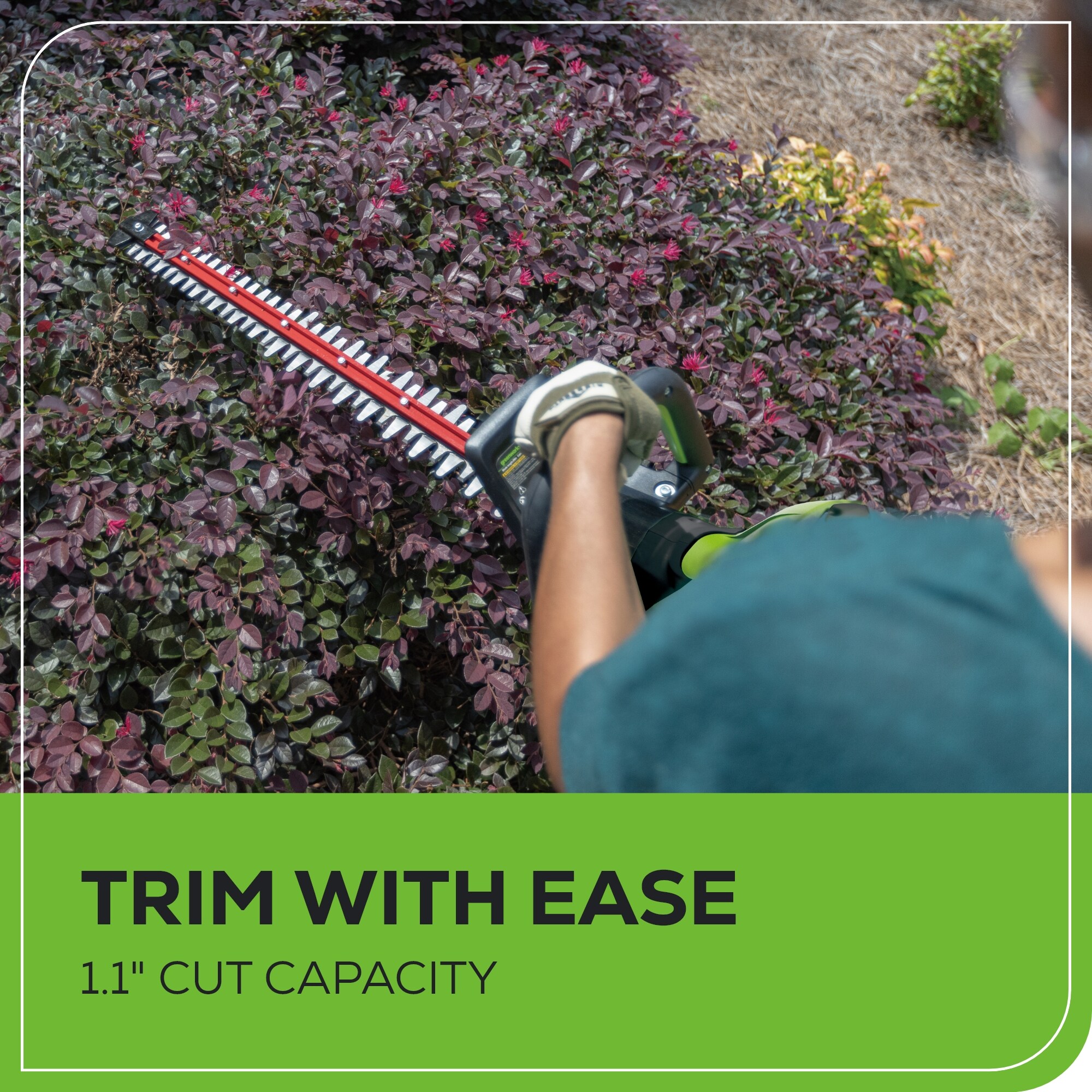 Greenworks HT80L213 Cordless-Hedge-Trimmers - View #6