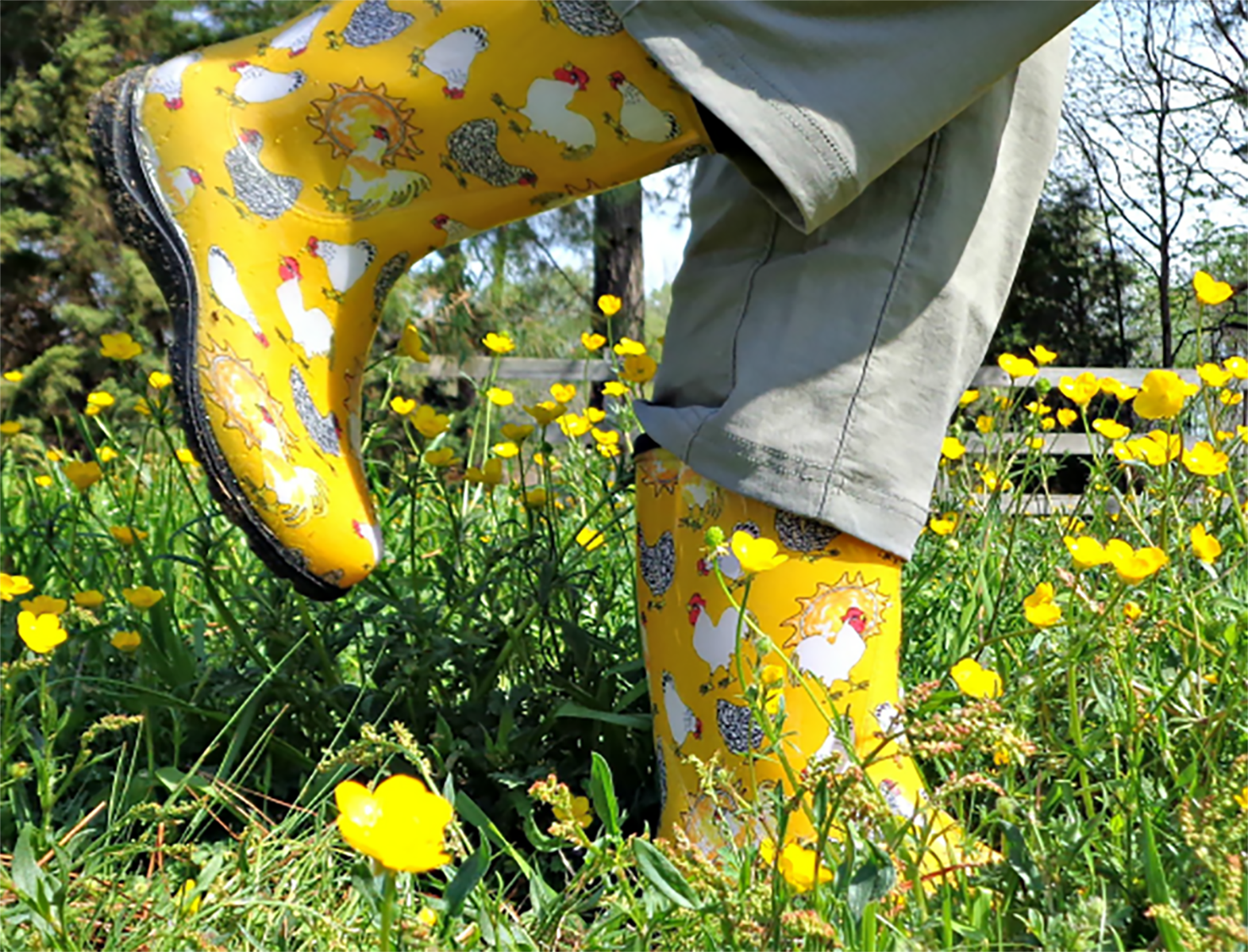 Chicken print outlet rain boots