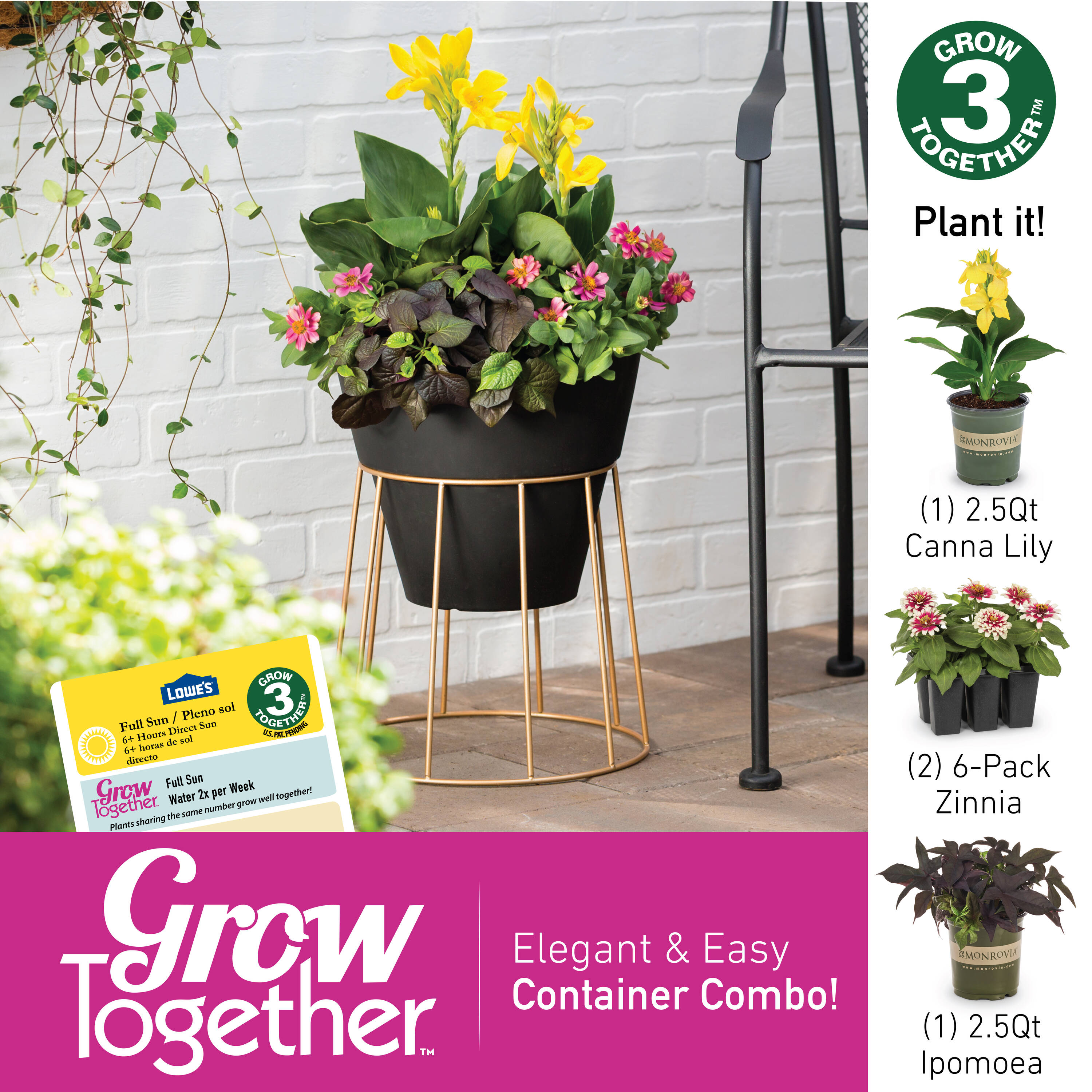 Monrovia 79150 annuals - View #5