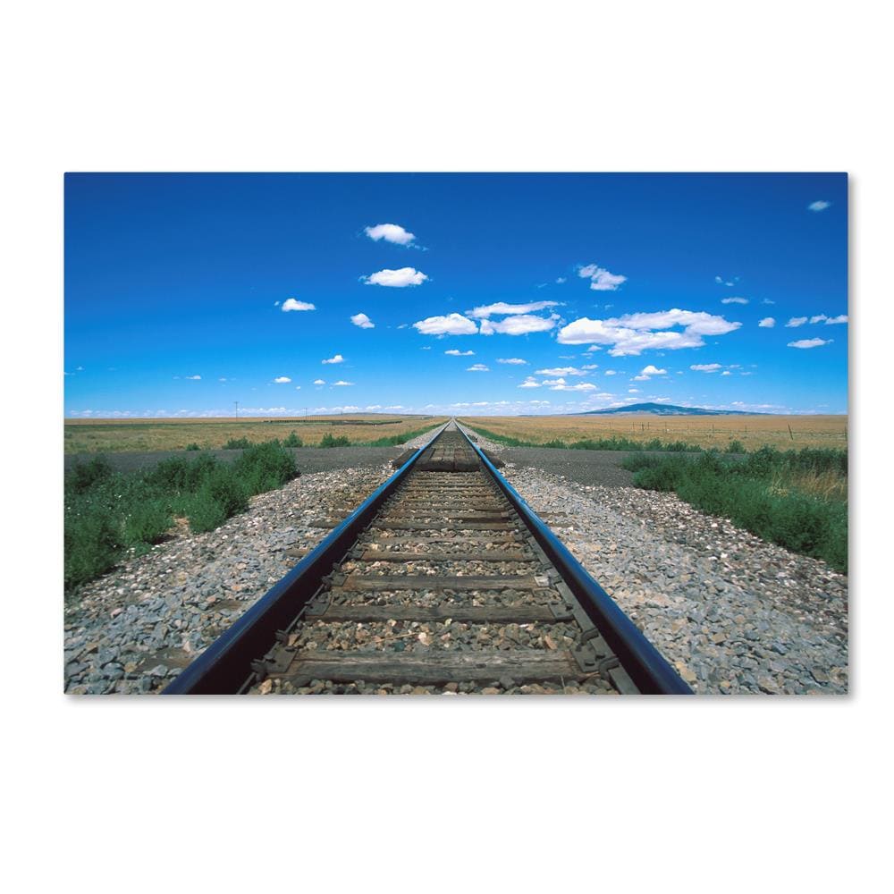 Trademark Fine Art ALI12424-C2232GG Wall-Art - View #2