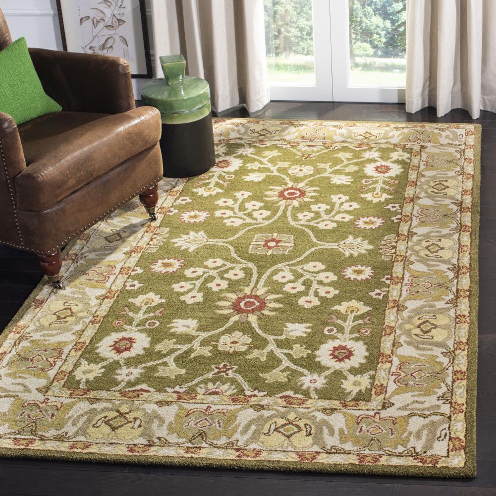 Safavieh AN562D-5 rugs - View #5