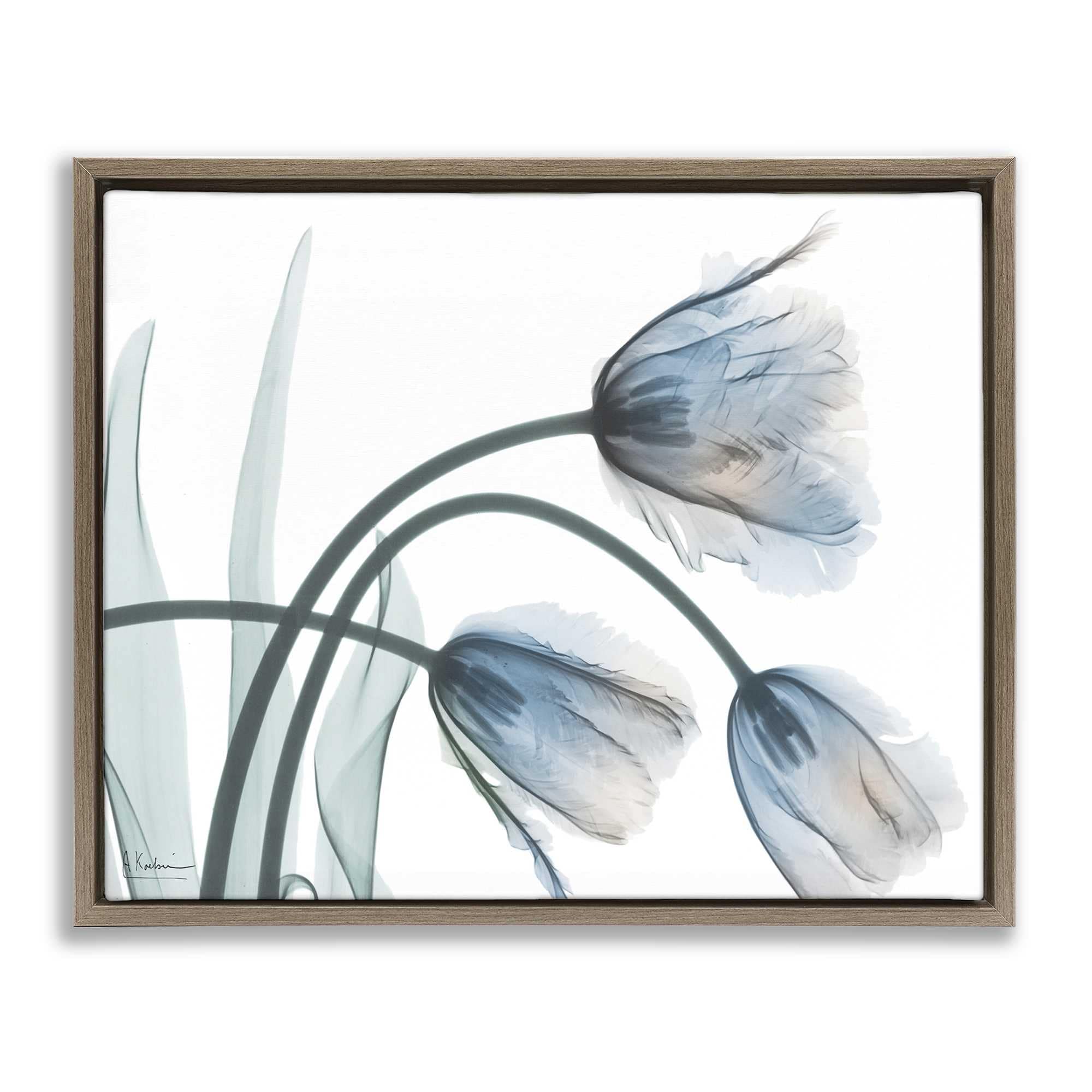 Stupell Industries BS-019-FFE-16X20 Trendy Mod Tulips Floating Frame design by Albert Koetsier