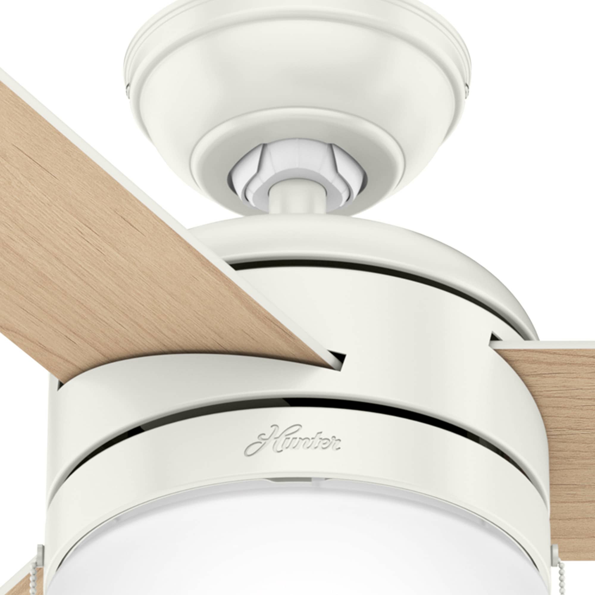 Hunter 59409 Ceiling-Fans - View #10