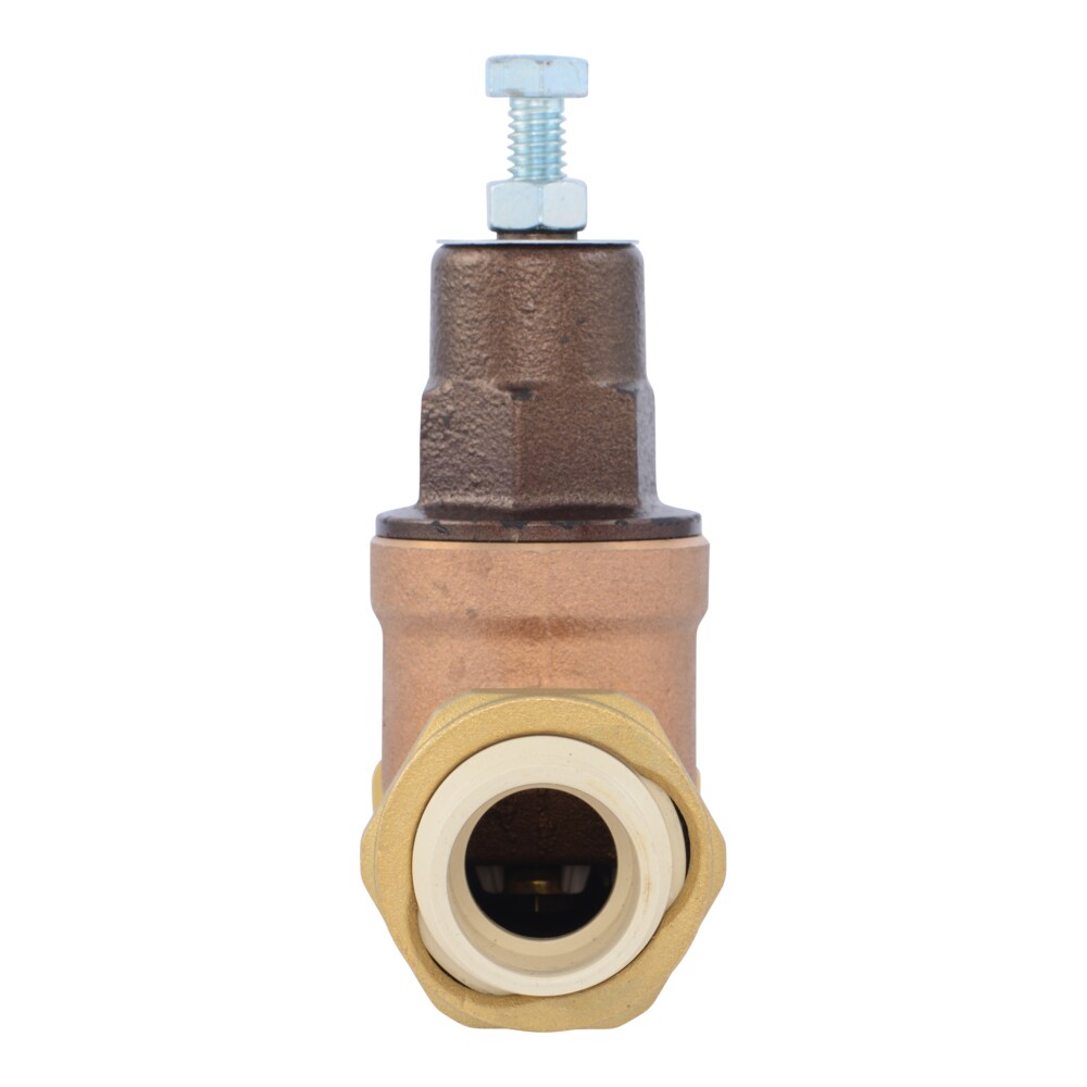 Cash Acme PVA16M-DUVC-60 Pressure-Relief-Valves-Regulators - View #2