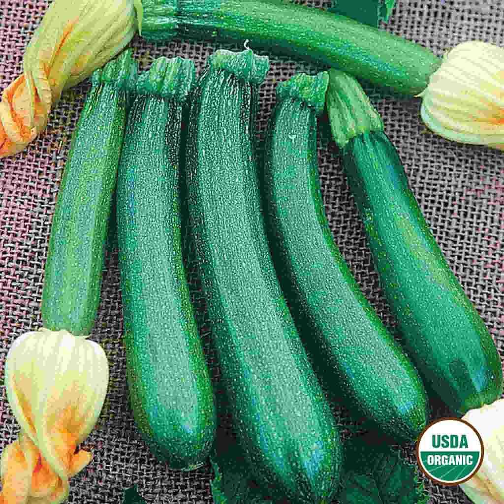 Ferry-Morse LC25.0929 Vegetable-Herb-Seeds - View #3