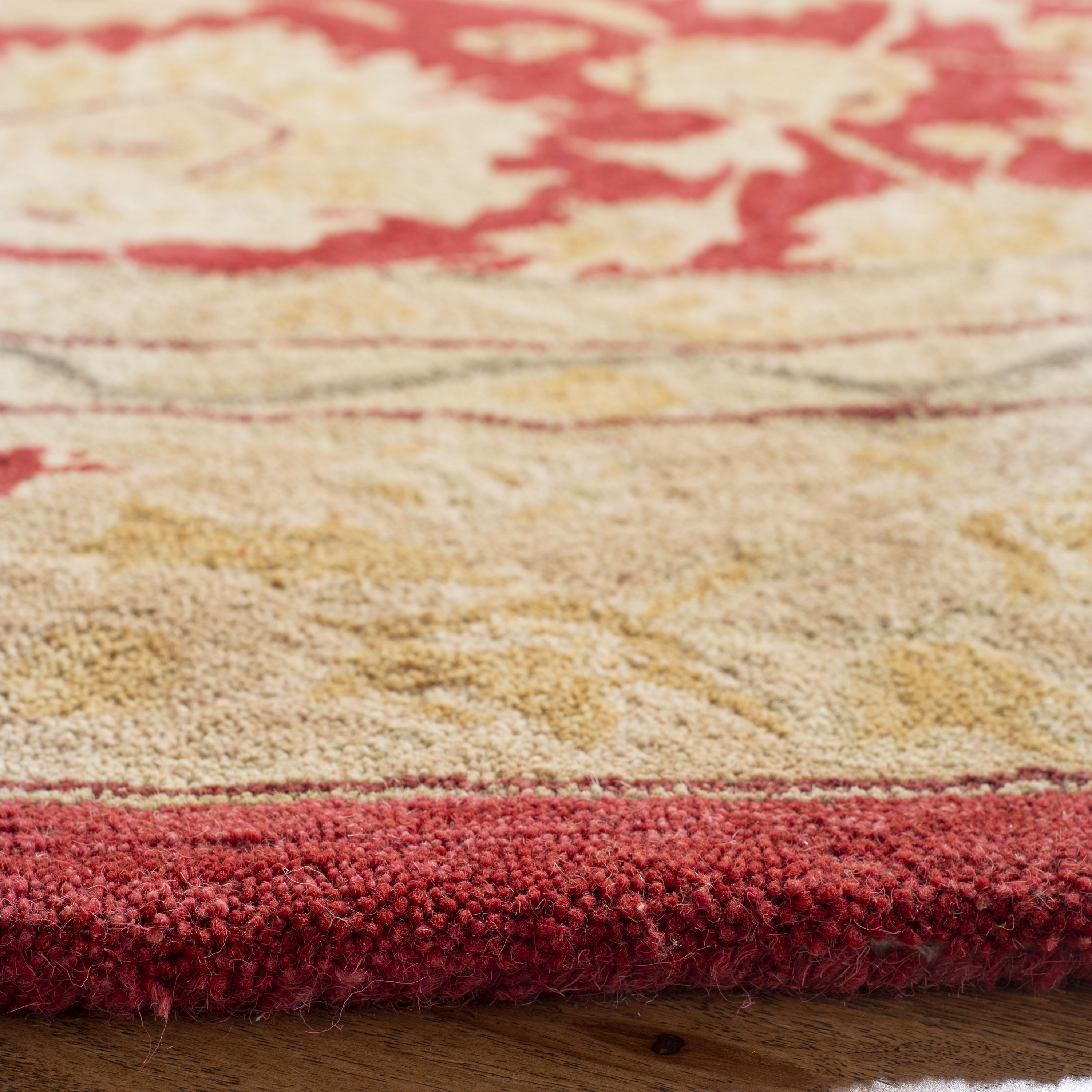 Safavieh AN522A-4R rugs - View #3