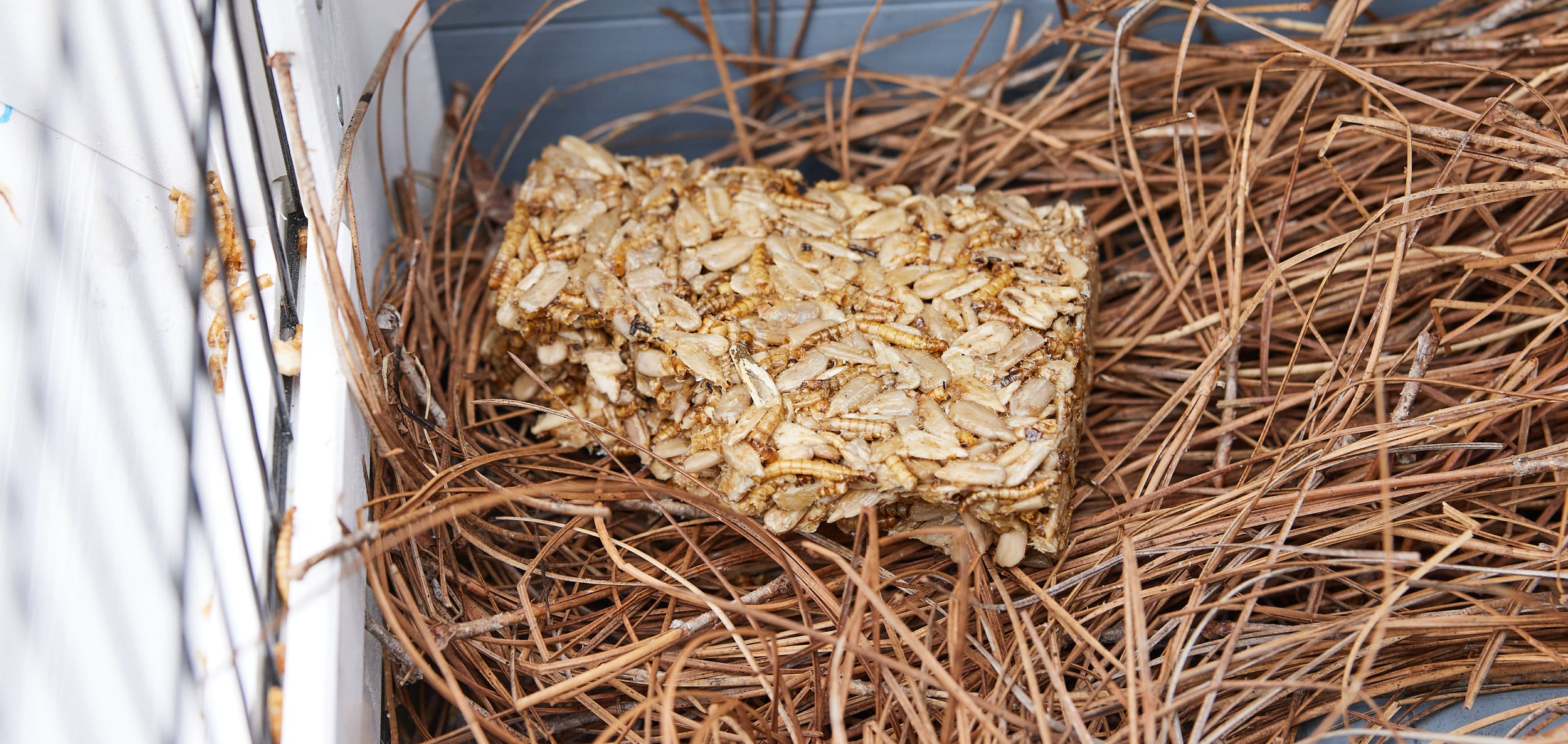 Pecking Order 009333-4 Poultry-Feed - View #4