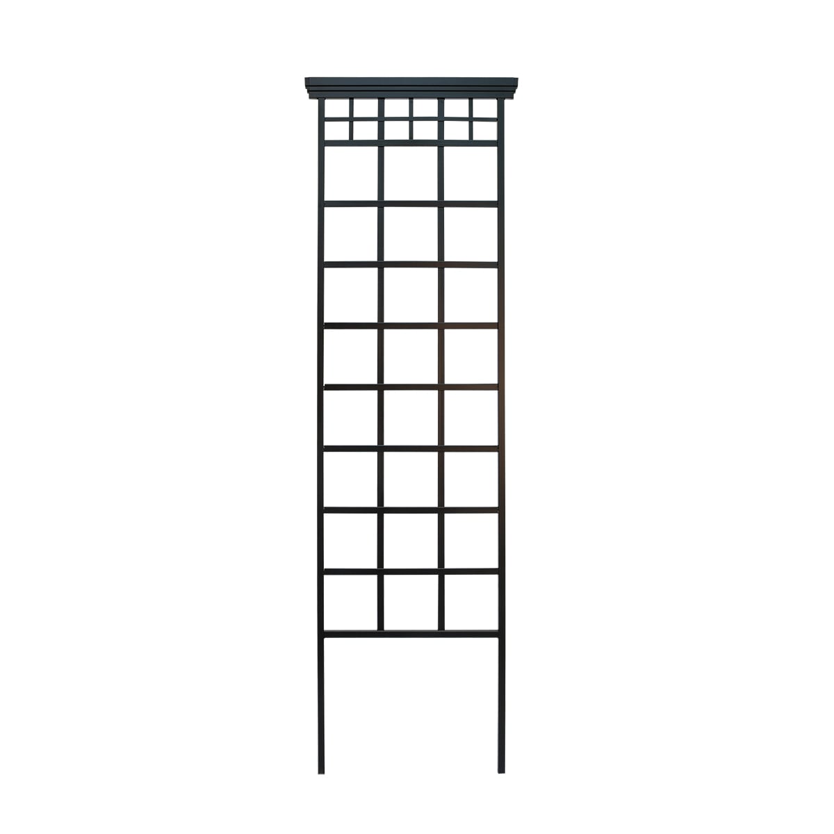 Style Selections 82172L 24-in W x 78-in H Black Steel Garden Trellis For Climbing Plants