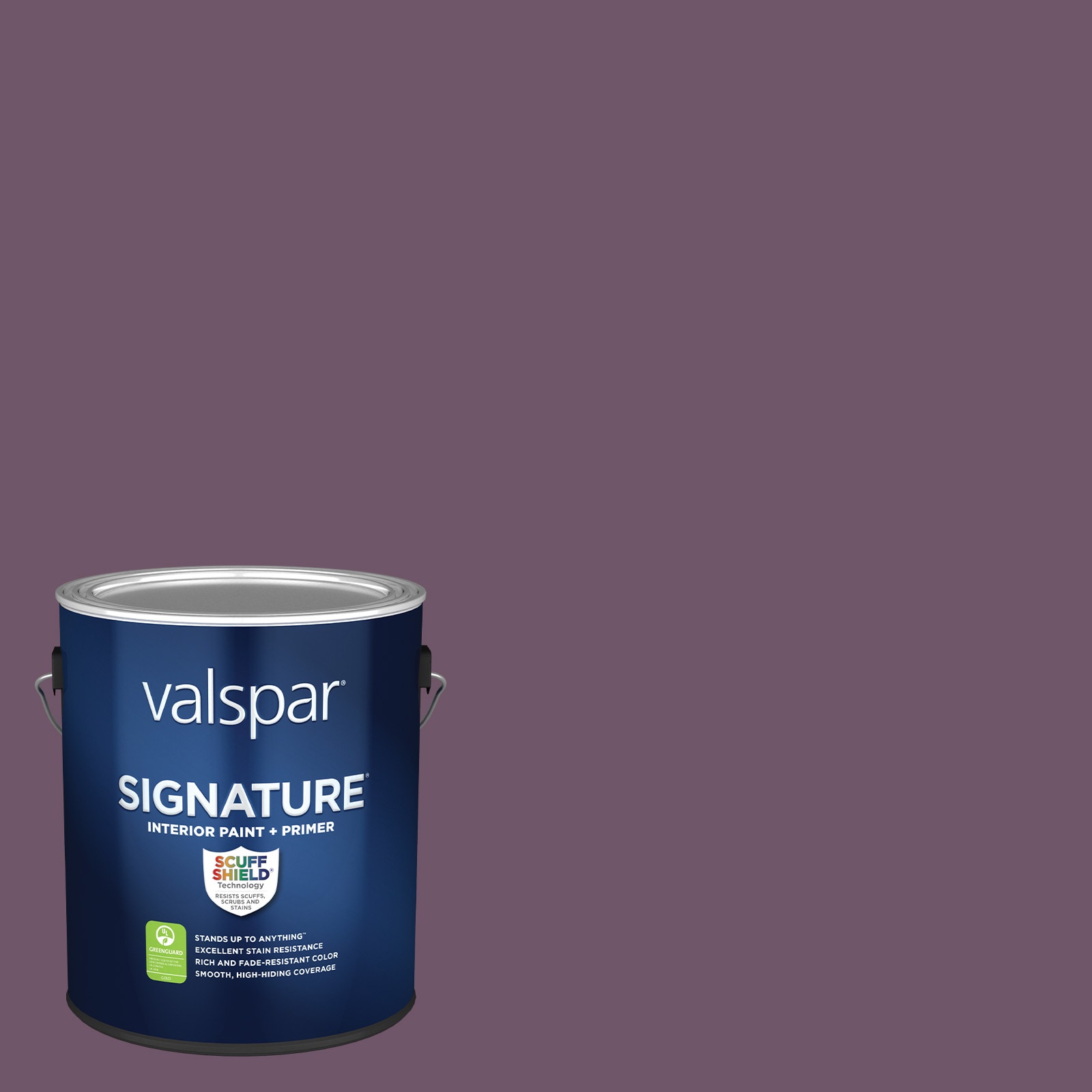 Valspar 1004-5C Amethyst Purple Precisely Matched For Paint and