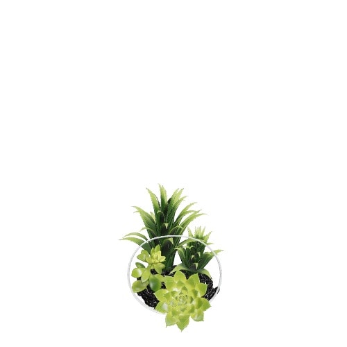 Three-dimensional representation of the product