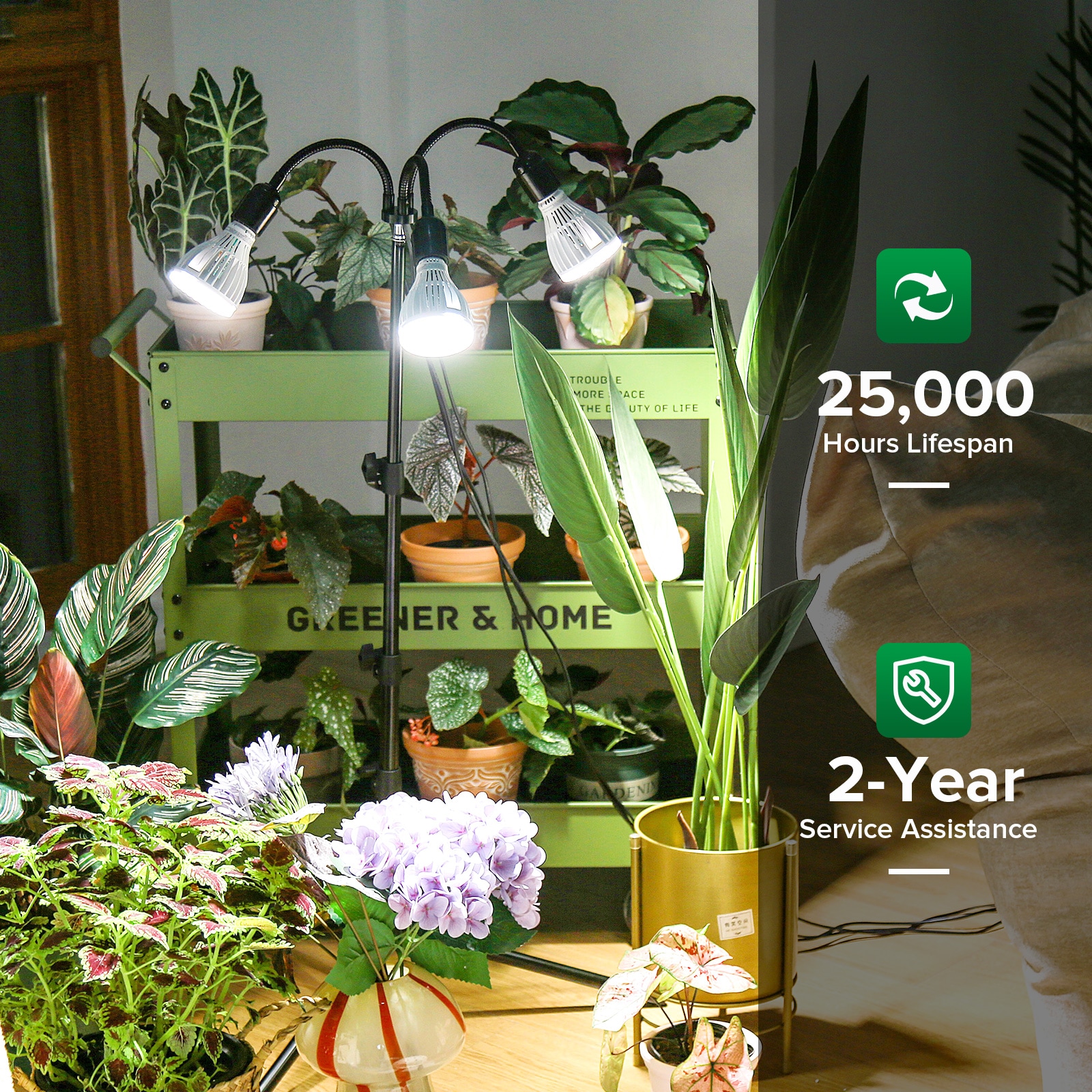 SANSI 01-03-001-023203 Grow-Lights - View #5