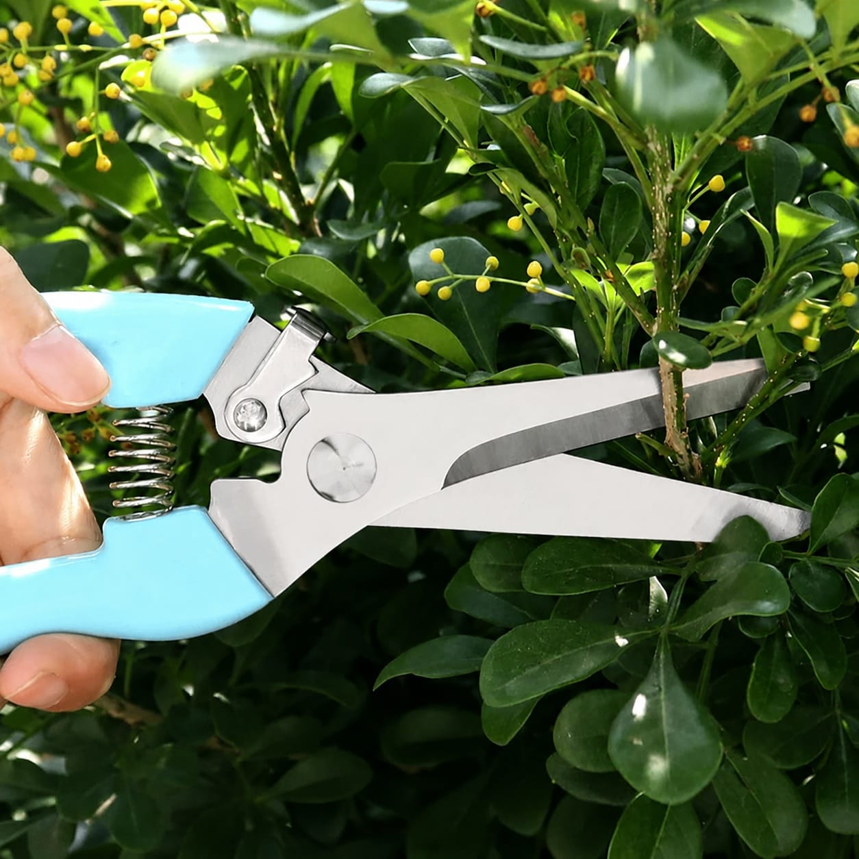 Justincity LJT0530J099 Floral-Scissors-Snips - View #5