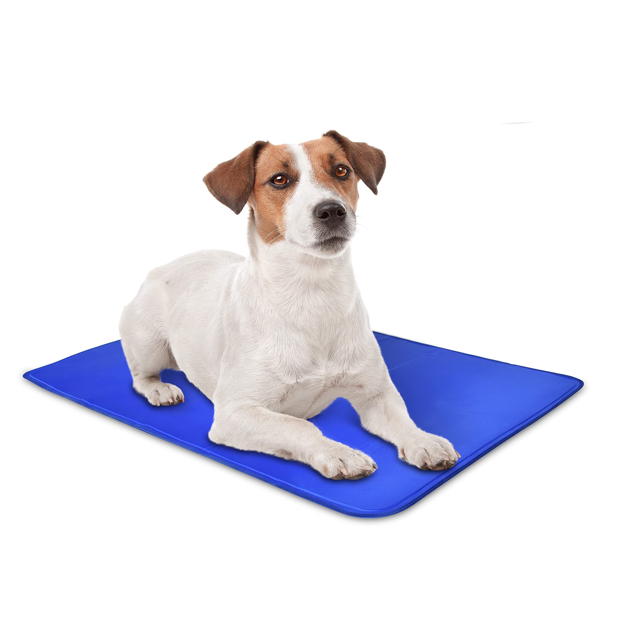 Arf Pets APCLPD019 Dog Cooling Mat - Durable - Non-Toxic Gel Dog Bed Mat for Kennels - Crates and  Beds - Small