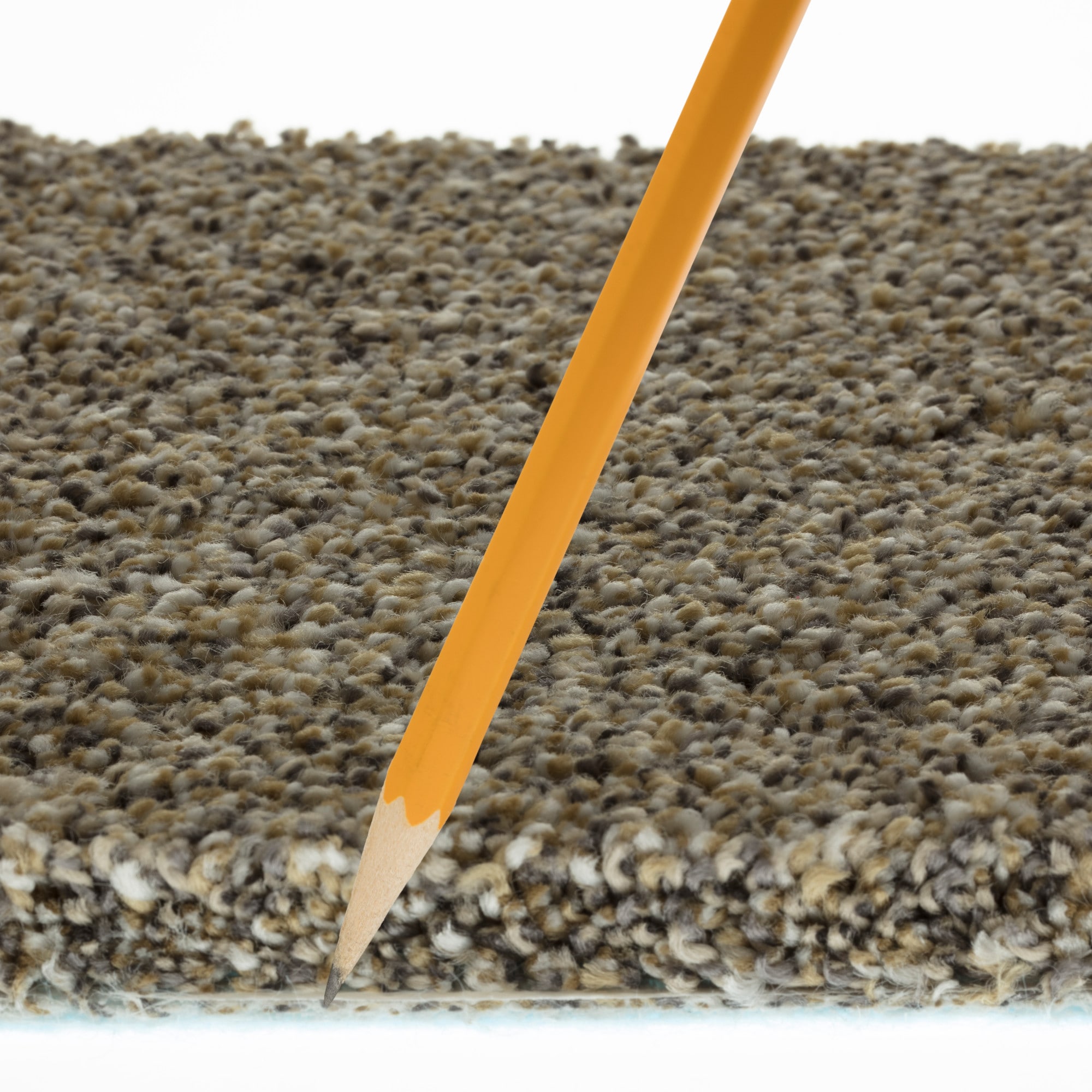 STAINMASTER PetProtect 7L93000210 Carpet-Panel - View #10