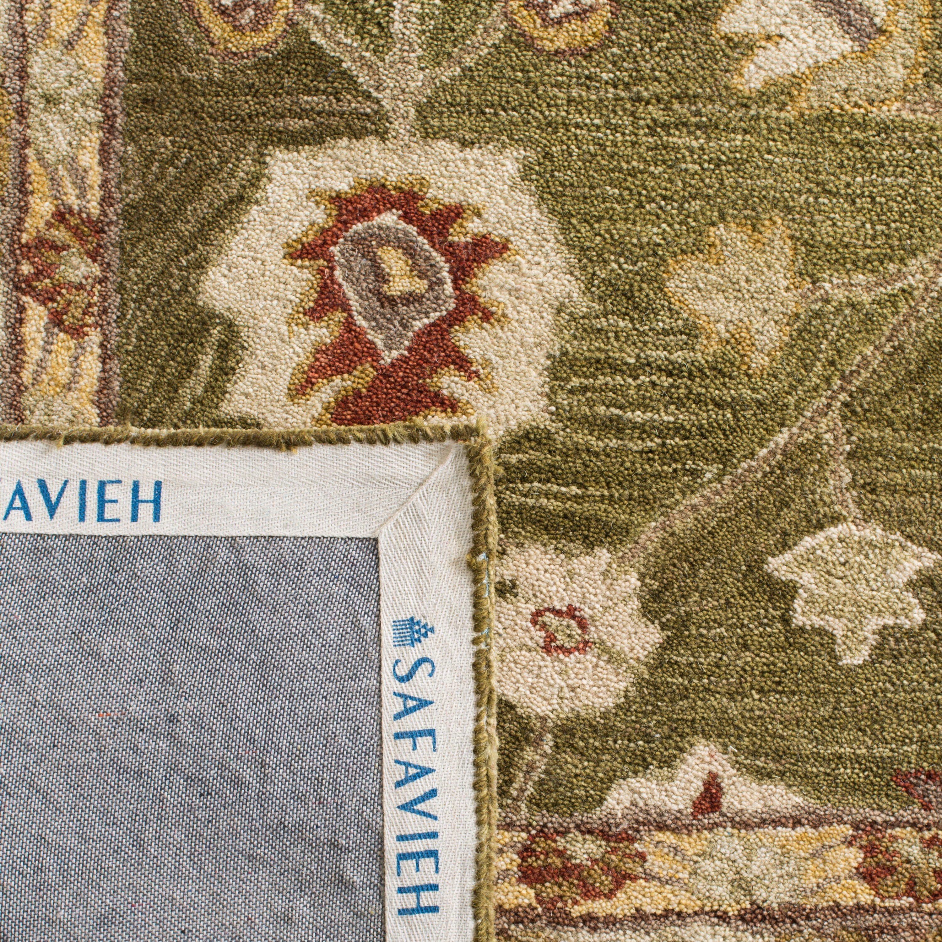 Safavieh AN562D-6 rugs - View #6