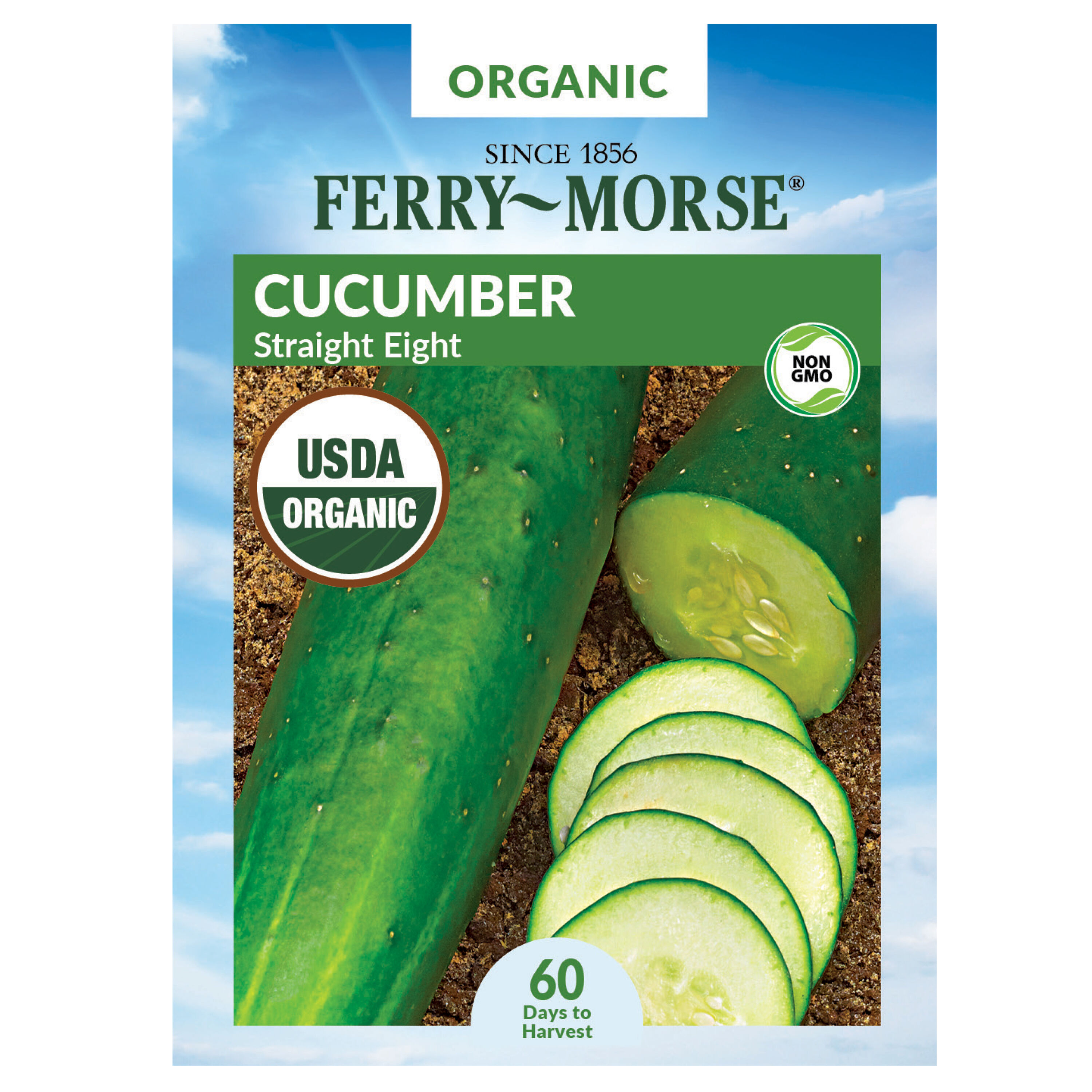 Organic Straight Eight Cucumber - Cucumis sativus Non-GMO Seeds