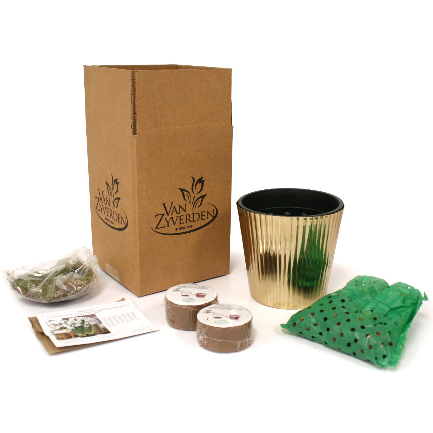 Van Zyverden 88465 Plant-Bulbs - View #4