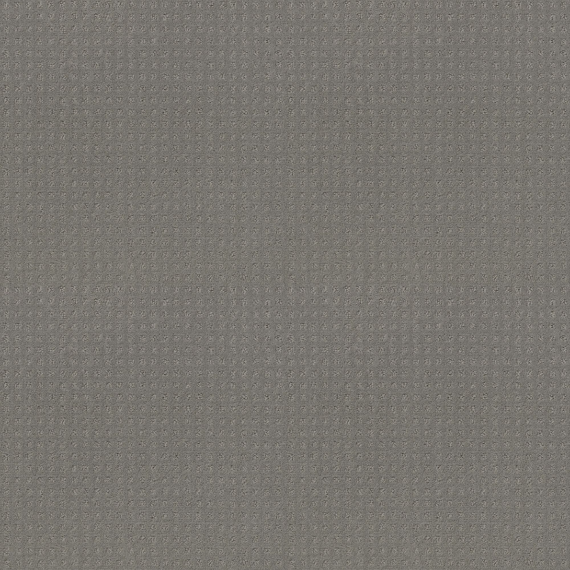 STAINMASTER PetProtect 7L89800545 Friends Furrever Pebble Beach Gray 29.3-oz sq yard Nylon Pattern Indoor Carpet