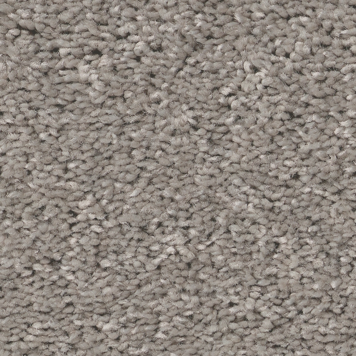 Style Selections 7L84700541 Dialed In II Mystic Heather Gray 35-oz sq yard Polyester Textured Indoor Carpet