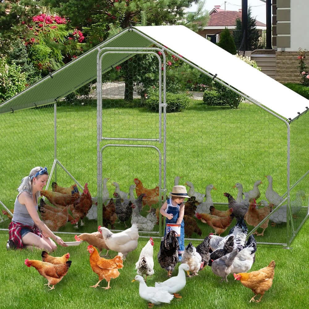 Qeetex WLS-PHO-15UBC2LO Chicken-Coops-Rabbit-Hutches - View #6