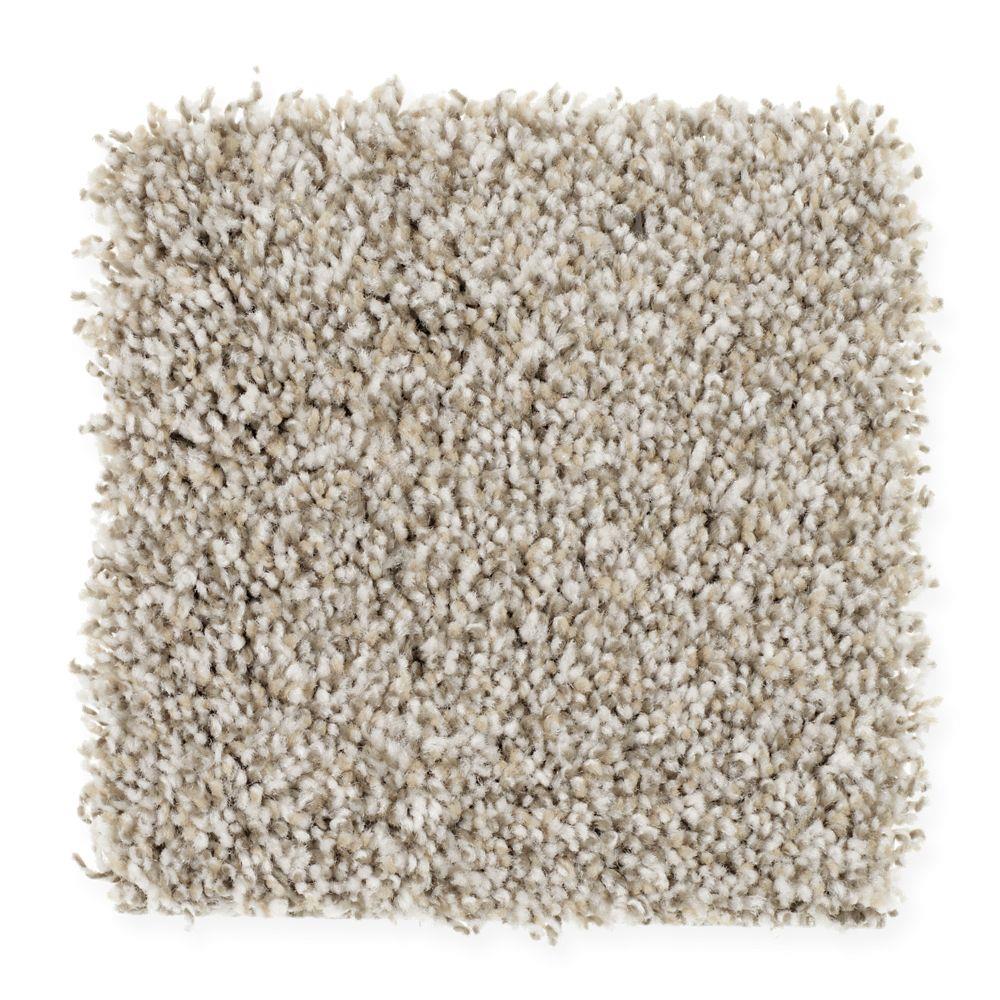 STAINMASTER STP19-L008-0808 (Sample) Essentials Soft Winner Low Lights Textured Carpet