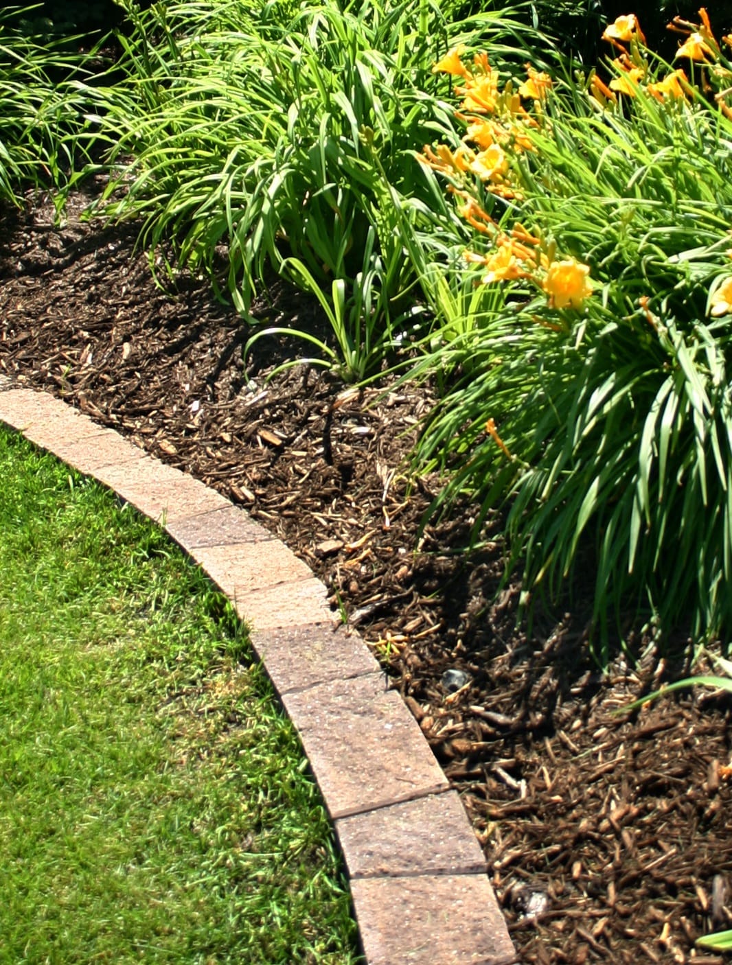  309204 Edging-Stones - View #3