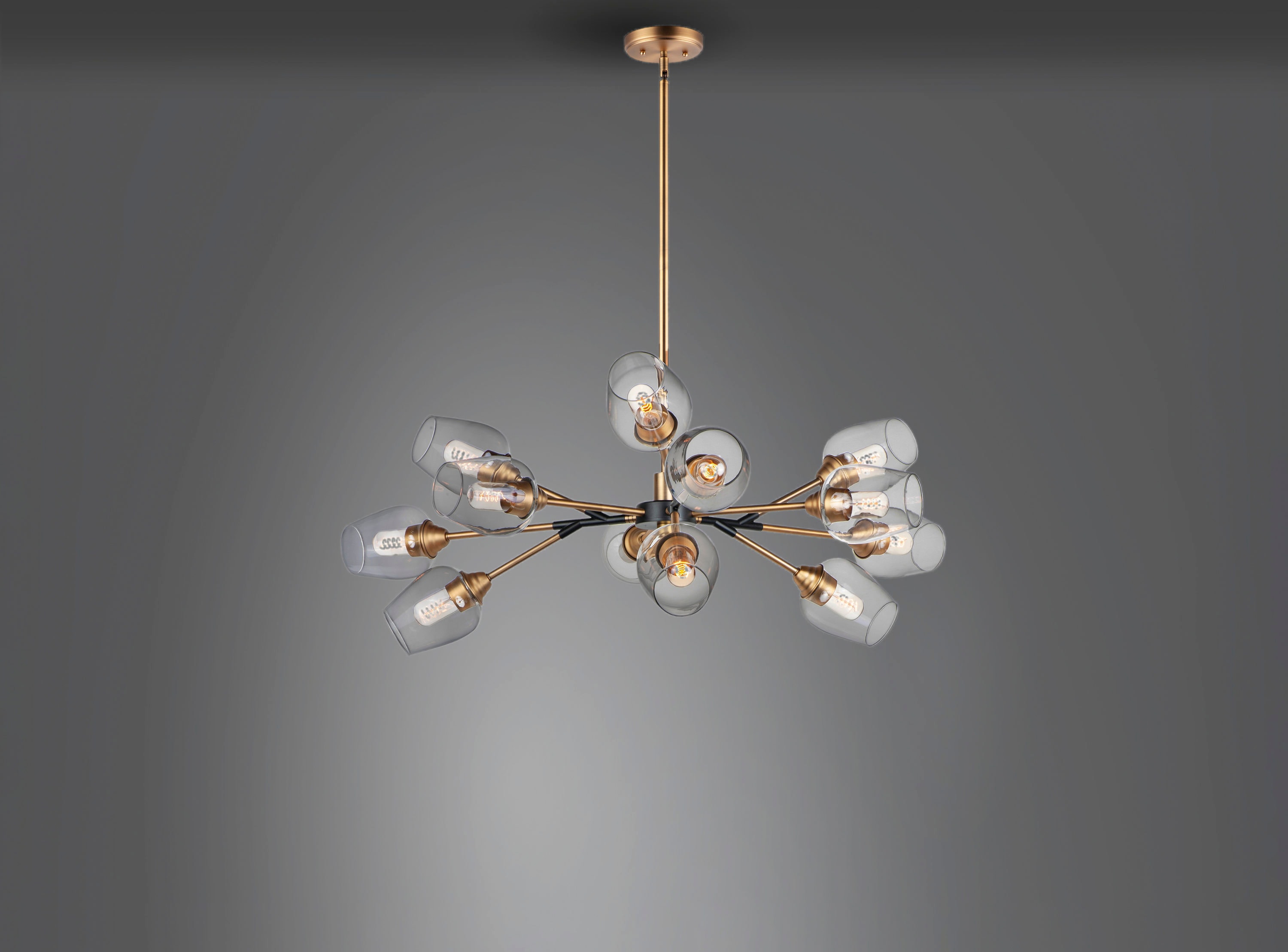 Antique Brass & Black 12-Light Chandelier with Clear Glass Shades