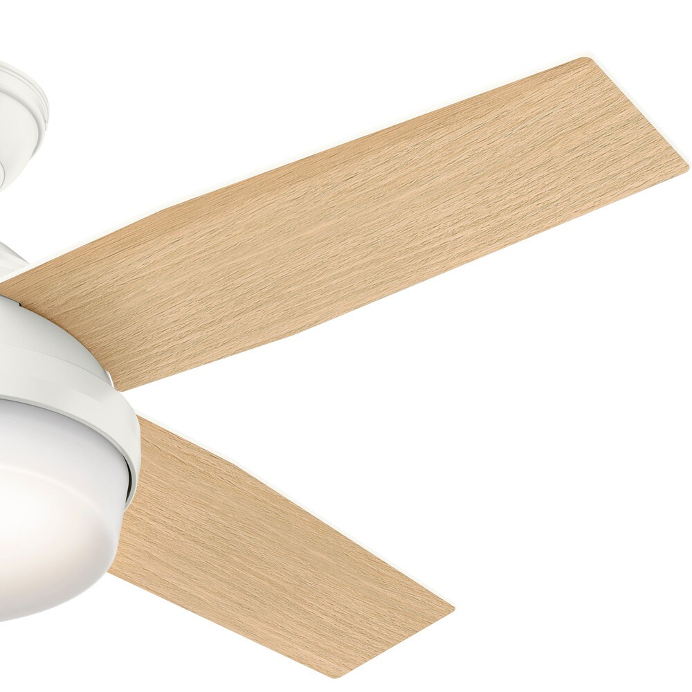 Hunter 59246 Ceiling-Fans - View #9