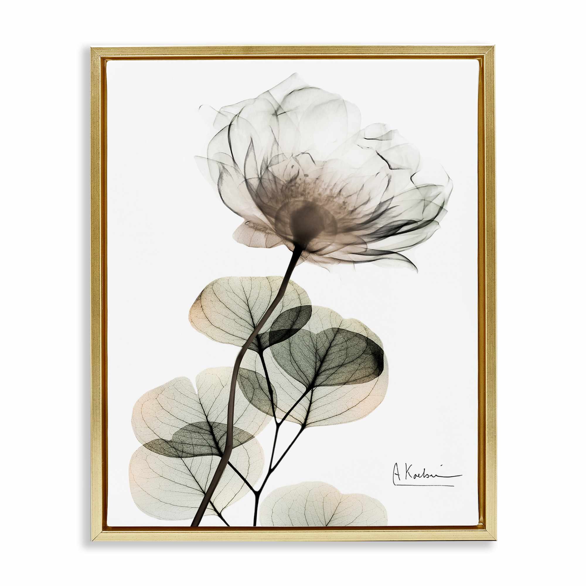 Stupell Industries BS-029-FFG-24X30 Simple Elegant White Flower Floating Frame design by Albert Koetsier