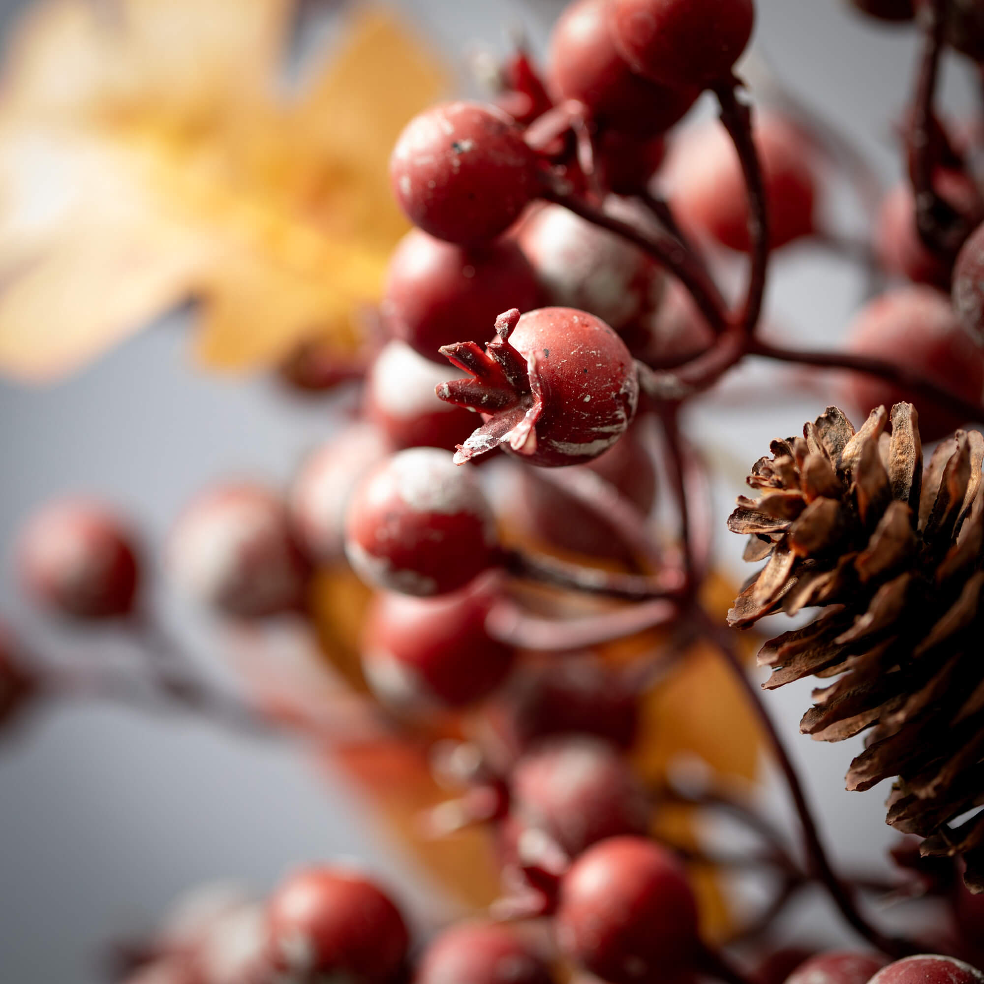 Sullivans BLFSP Indoor-Thanksgiving-Decor - View #2