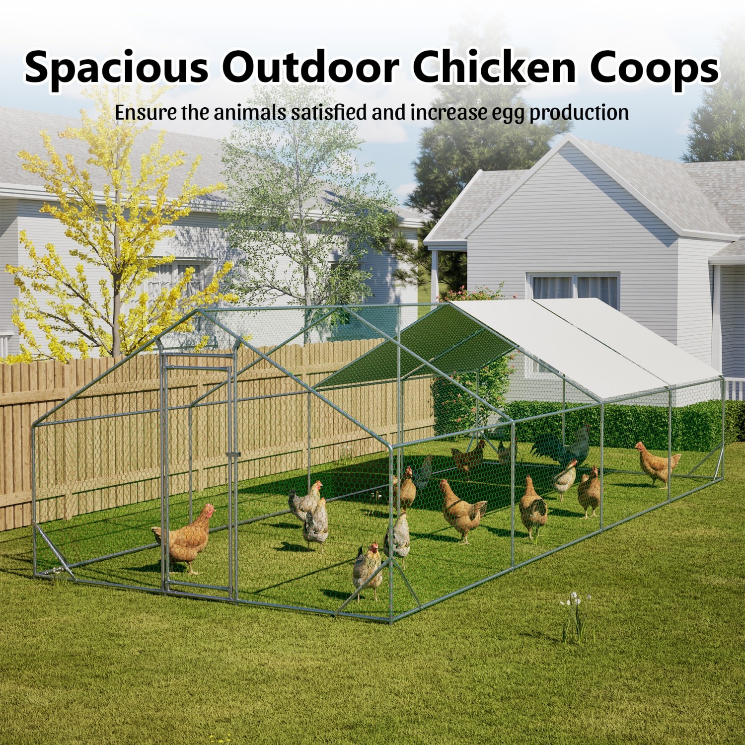 Mondawe MO-STO23014 Chicken-Coops-Rabbit-Hutches - View #4