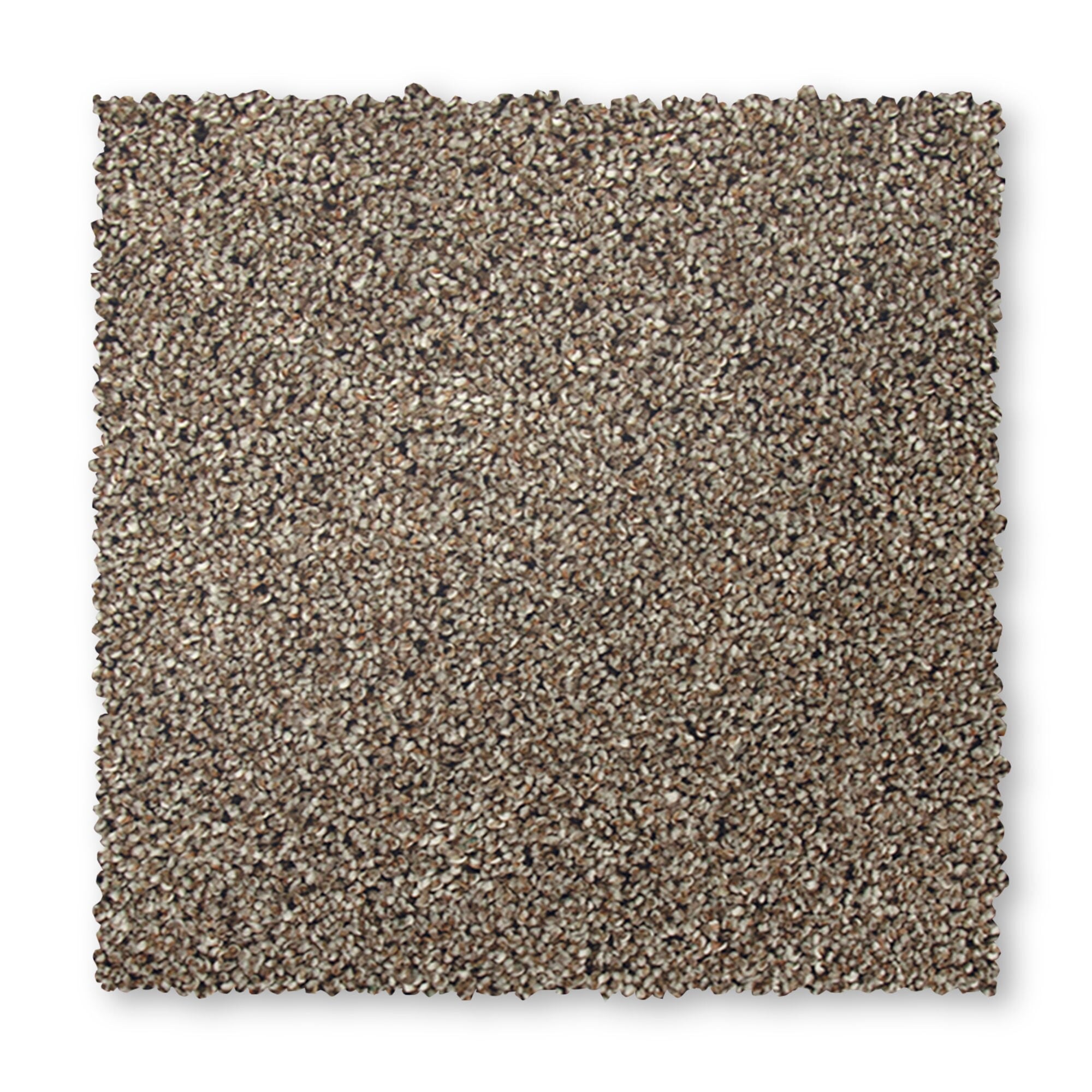 STAINMASTER SS024-L004-0808 (Sample) Mellow Rhythm II Brazilian Coffee Brown 52-oz sq yard Polyester Textured Indoor Carpet