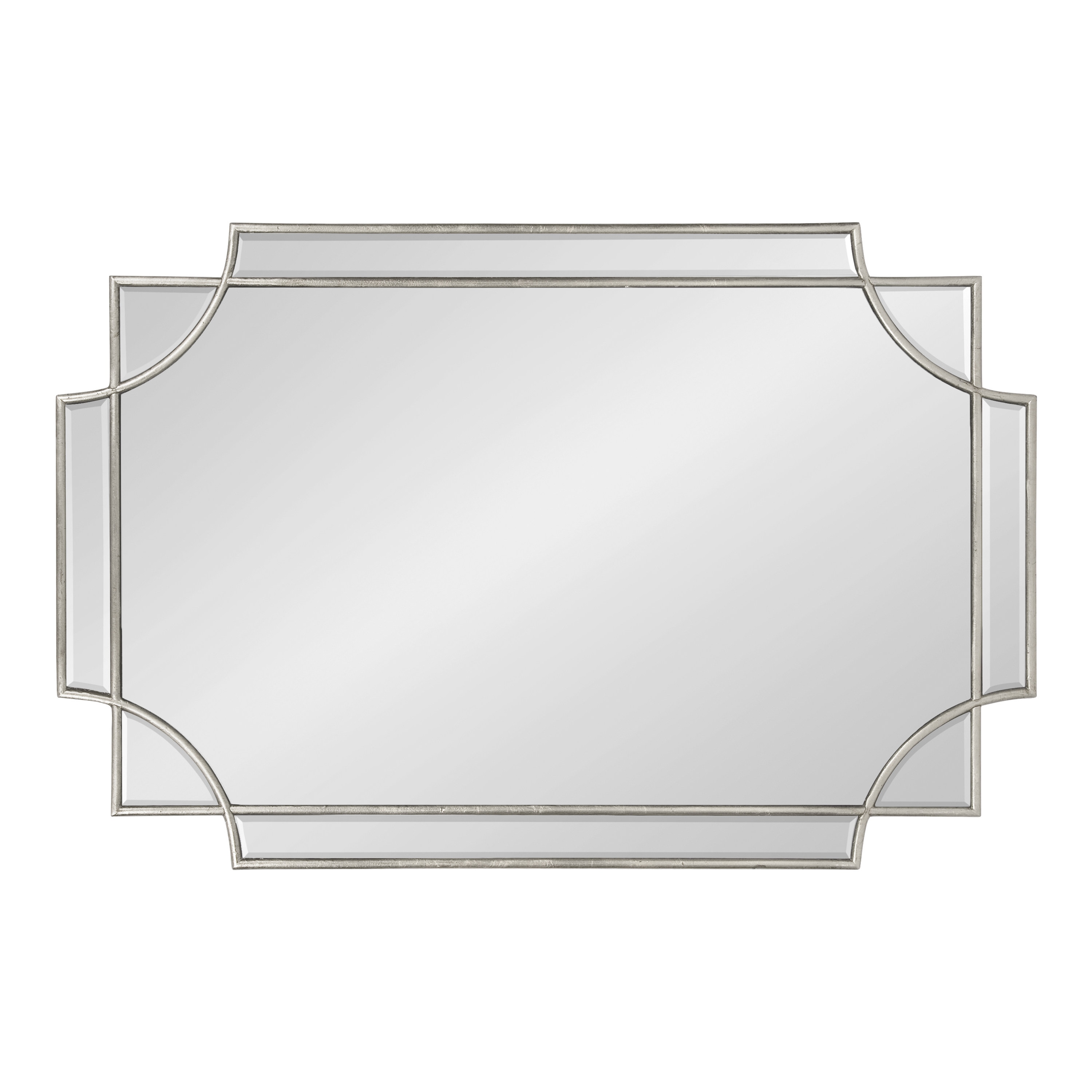 Elegant Transitional Silver Wood Full-Length Mirror, 39.35x28.25