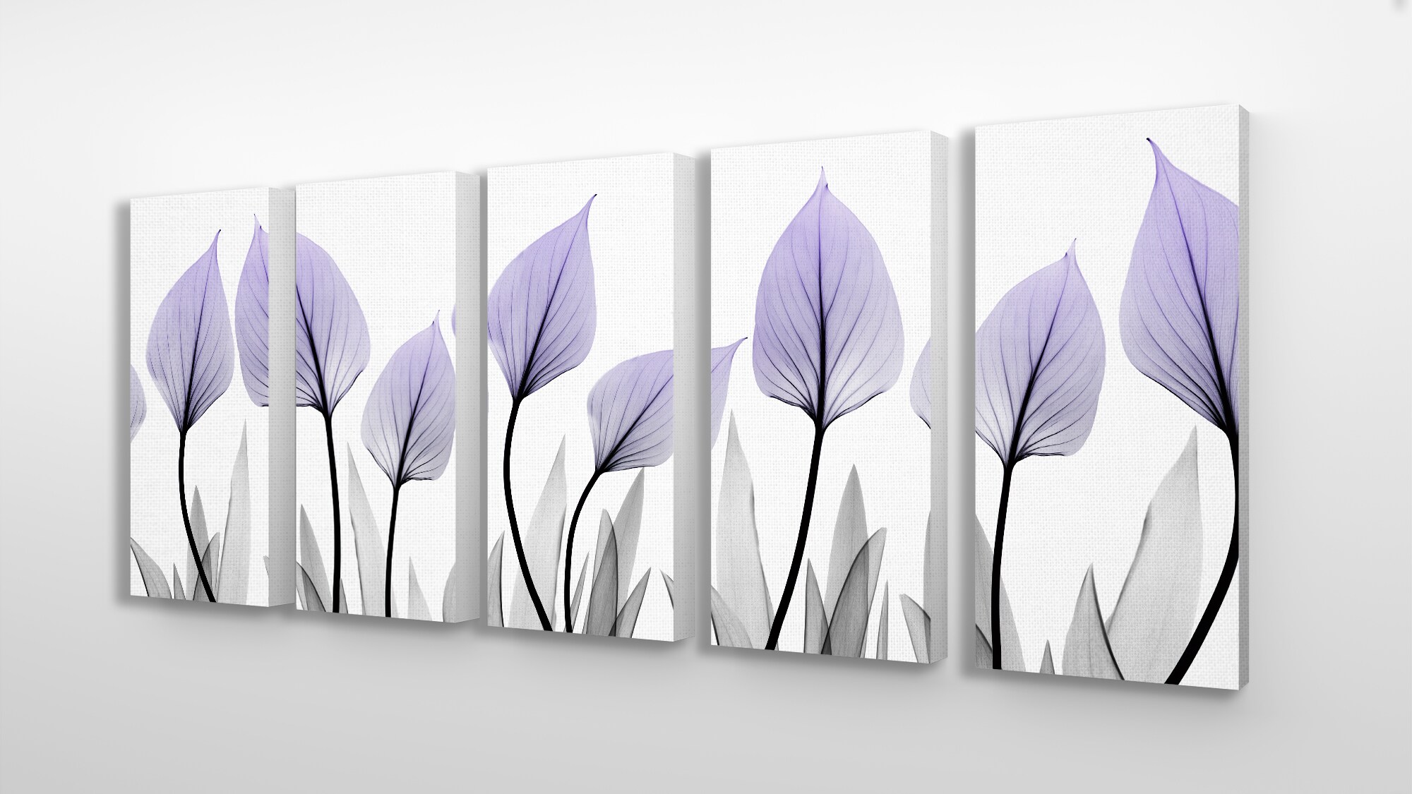 Stupell Industries TWP-251-CN-5PC-10X21 Translucent Purple Floral Leaves Triptych Albert Koetsier 21-in H x 10-in W Abstract Print on Canvas