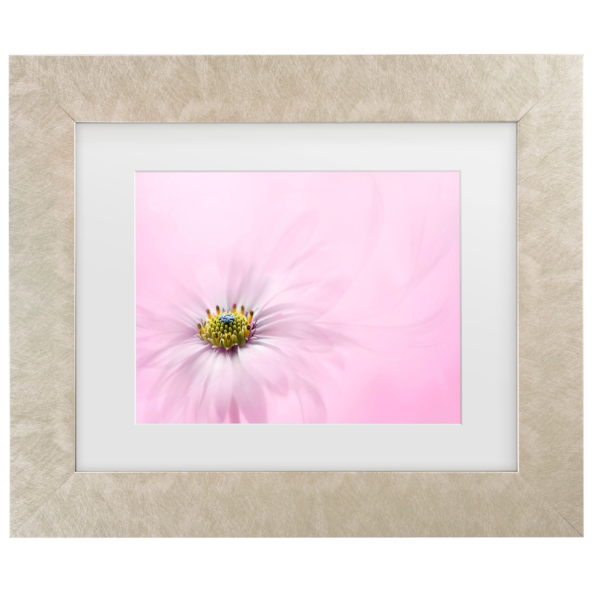 Trademark Fine Art 1X10007-C1114MF Wall-Art - View #2