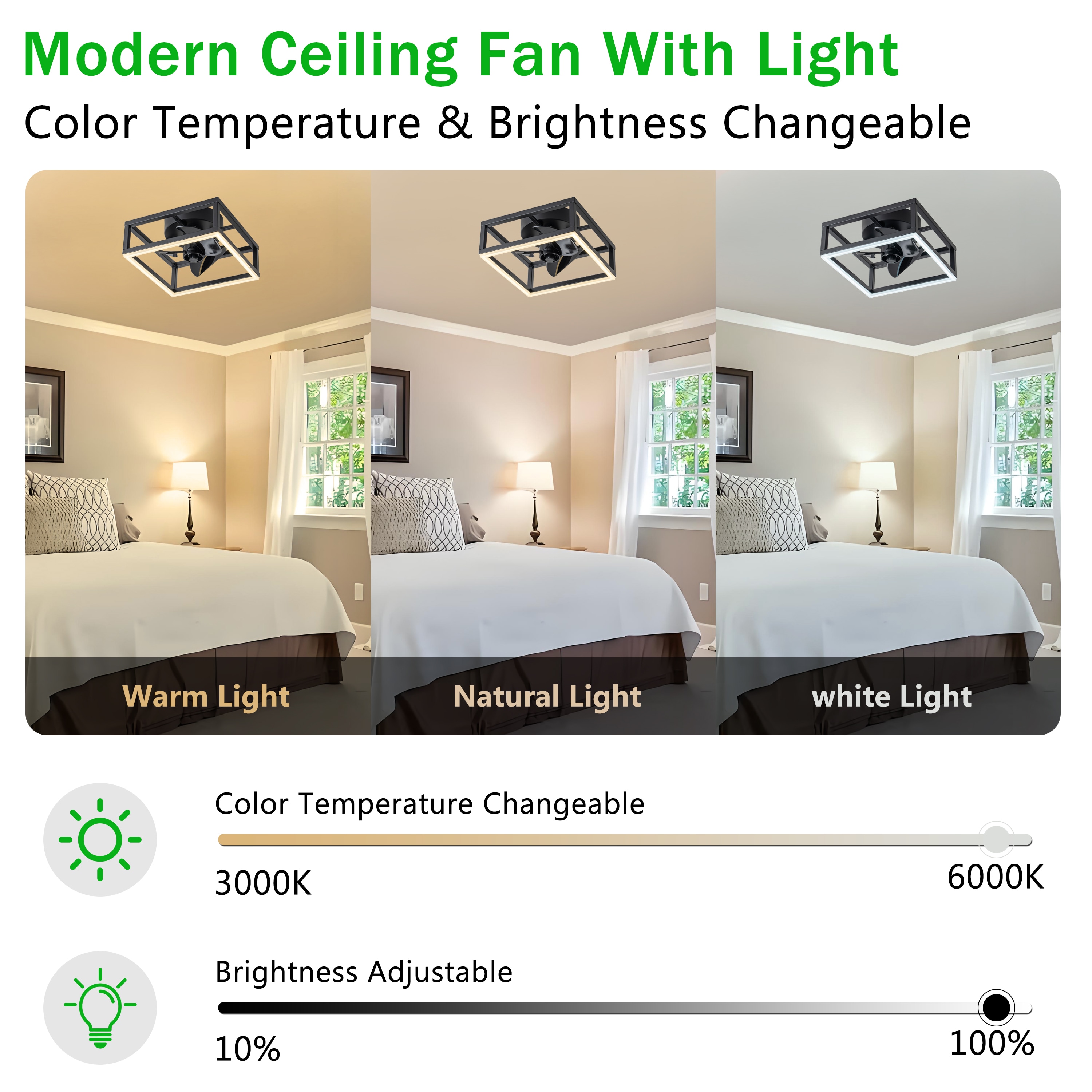 C Cattleya LCA2499-JES-CF Ceiling-Fans - View #2
