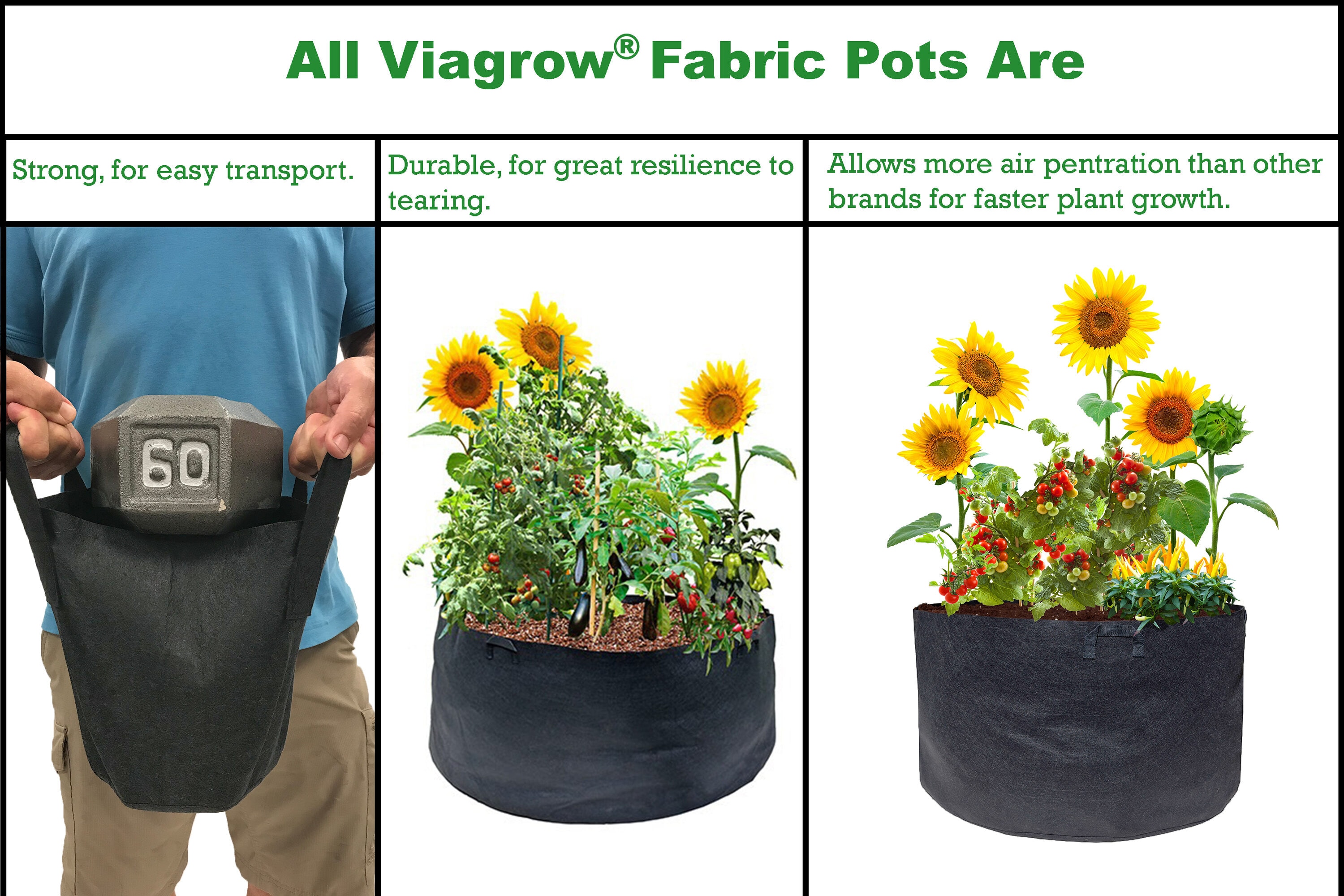 Viagrow V65GAPOT-2 Planter-Window-Box - View #4