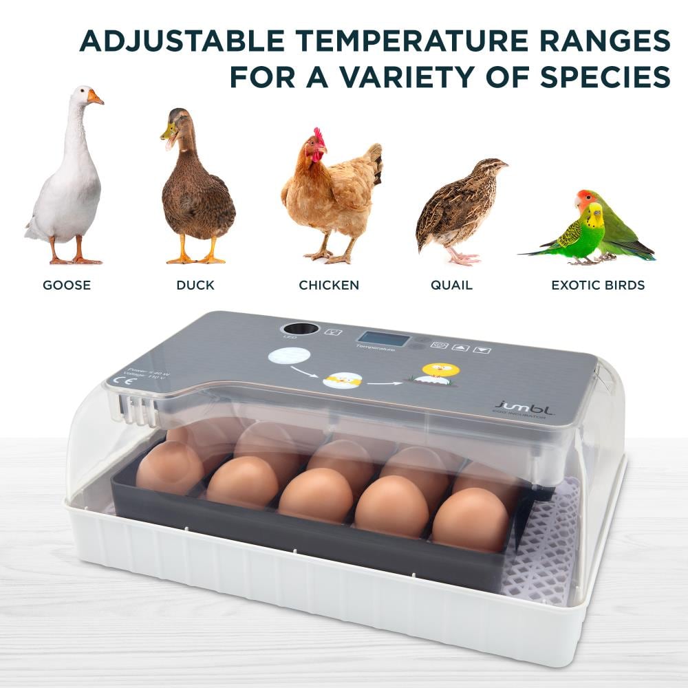 Electric Double Row Egg Cleaner For Poultry Farms Ideal For Chicken, Duck,  Goose Eggs In The Oven From Sytsch, $1,238.2