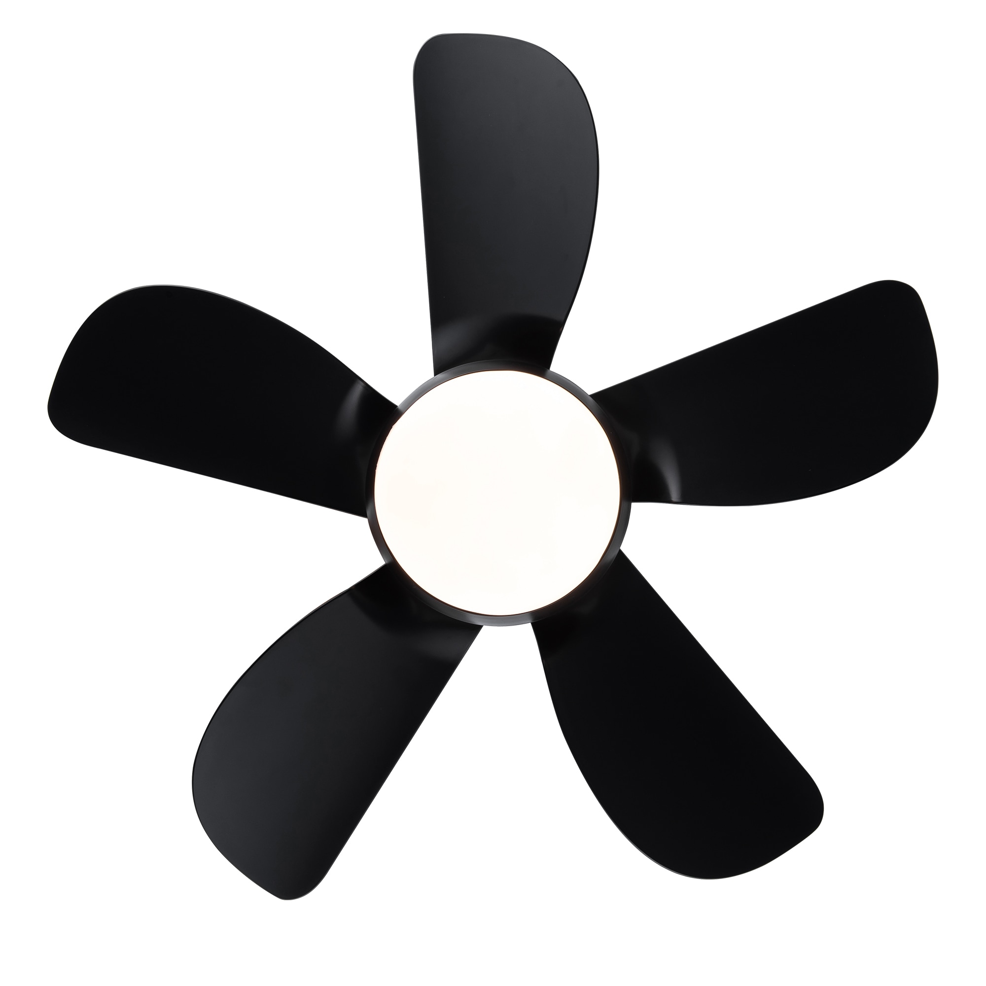 Flynama YC-L-55957 Ceiling-Fans - View #4