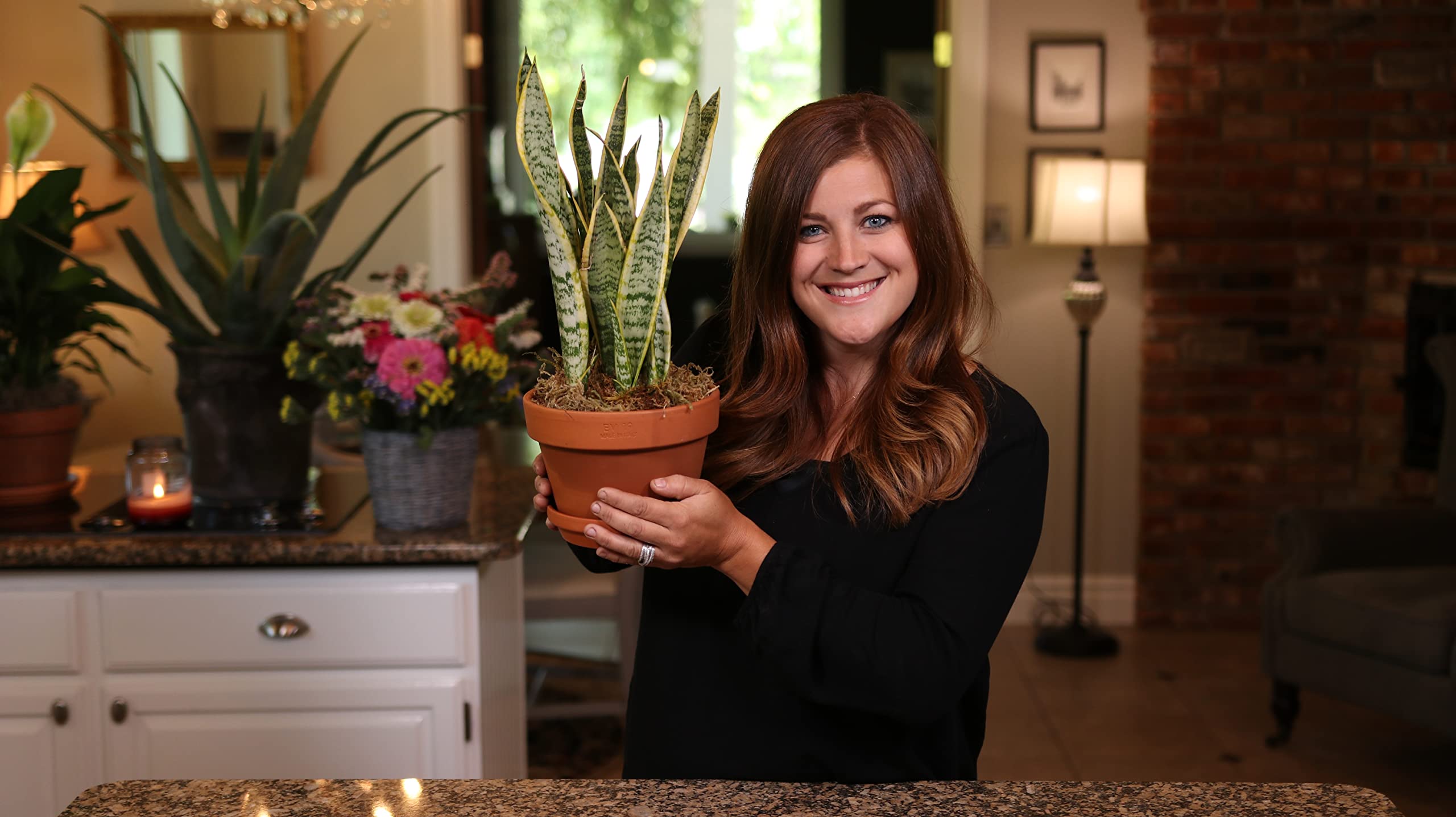 Espoma SFP-ESPAP4/ESPINPF8 Plant-Food - View #6